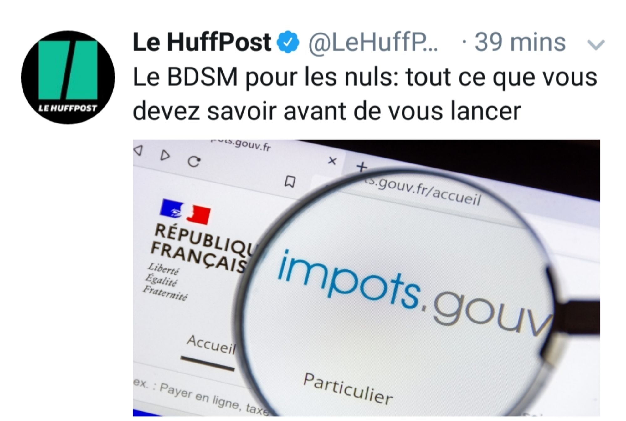 Article le HuffPost : Le BDSM pour les nuls: tout ce que vous devez savoir avant de vous lancer. Illustration : la page d'accueil de la déclaration d'impôts sur le revenu