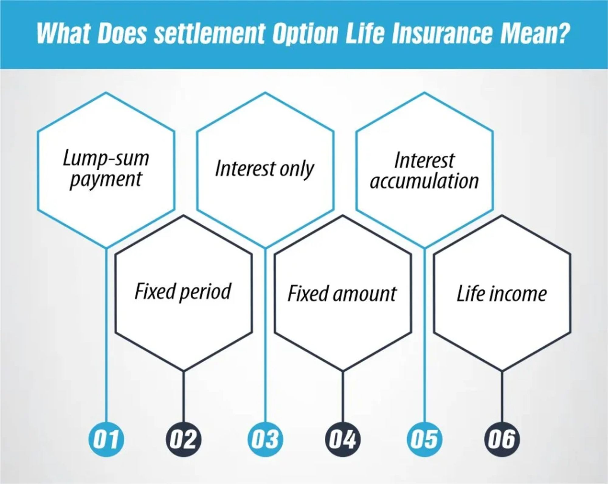 settlement Option Life Insurance