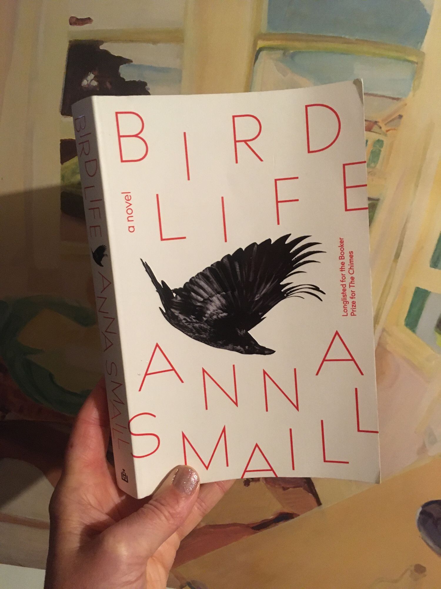 Cover image from Anna Smaill’s novel Bird Life. It shows a crow in flight.