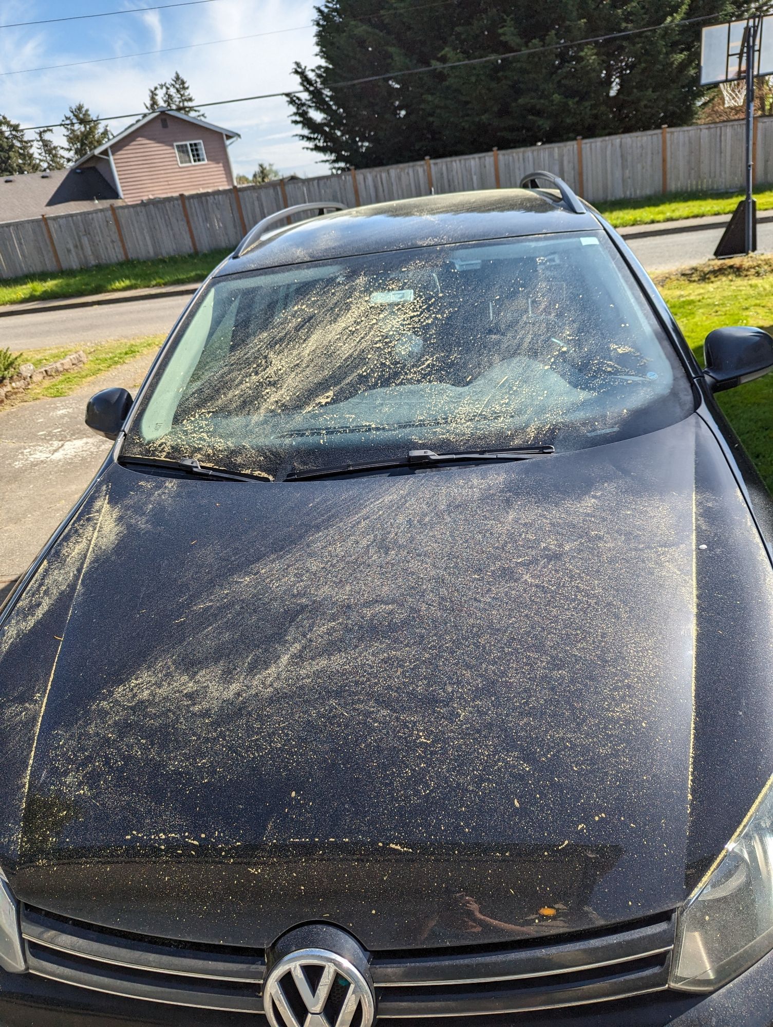 The front windshield and hood of a dark blue car covered in yellow pollen