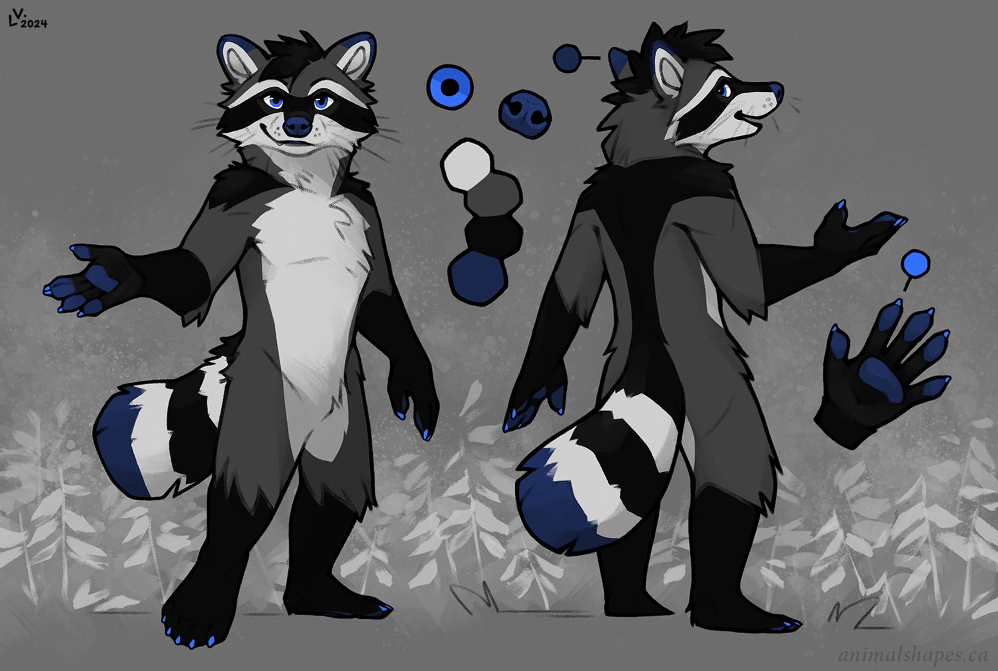 A front/back view of a raccoon furry character, Renkov Raccoon.