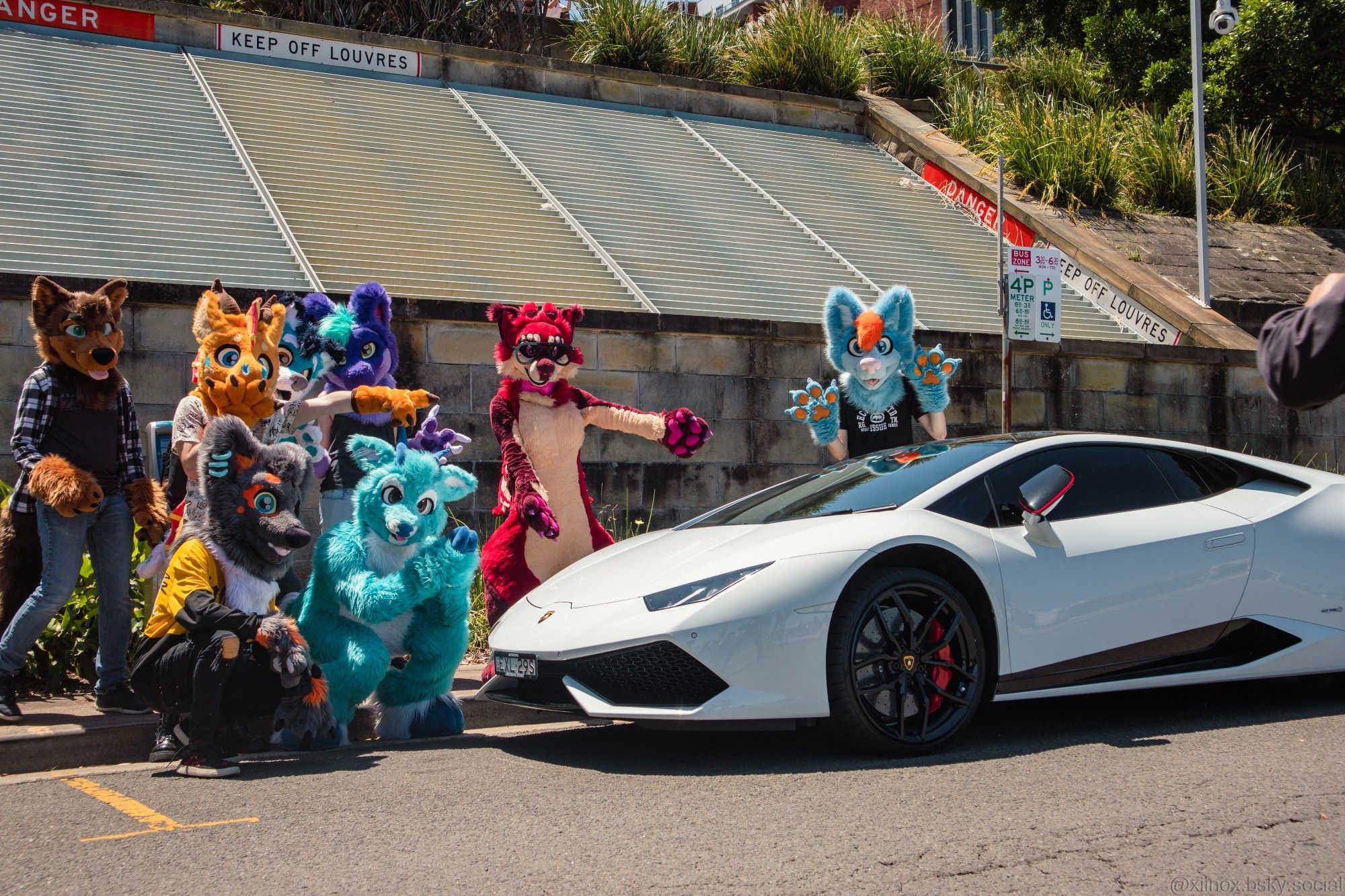 Many furries gathered around a fancy car