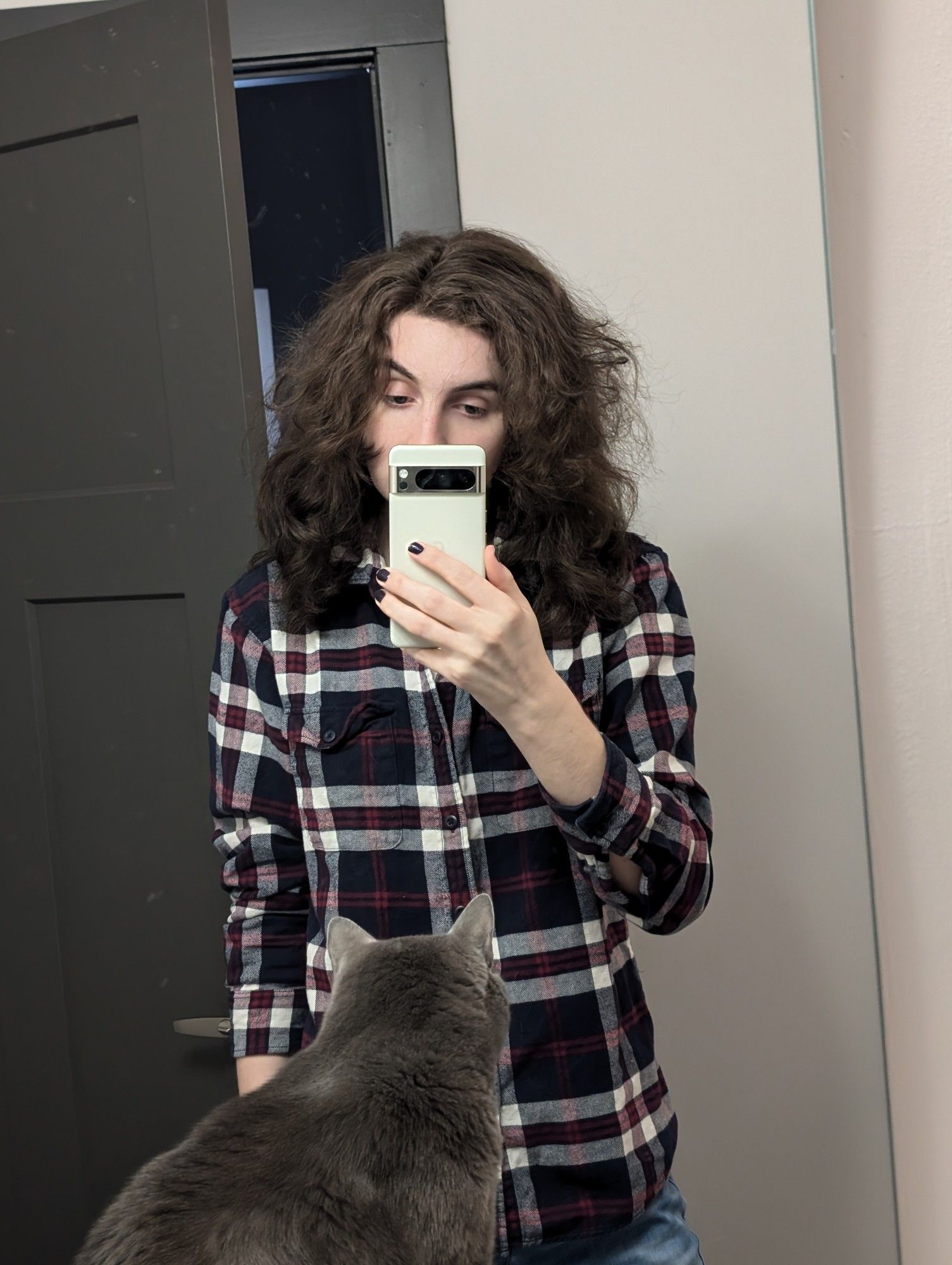 mirror selfie im in dark blue and red flannel matter the grey cat is there in front of me 