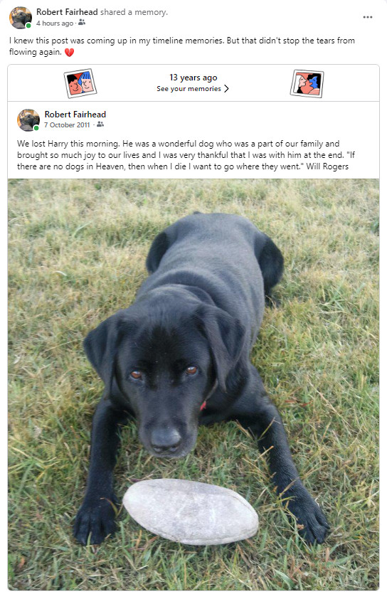 A post from 13 years ago informing family and friends on Facebook that my dear old black lab, Harry, featured in a "play with me" pose in front of his footy, had passed away.