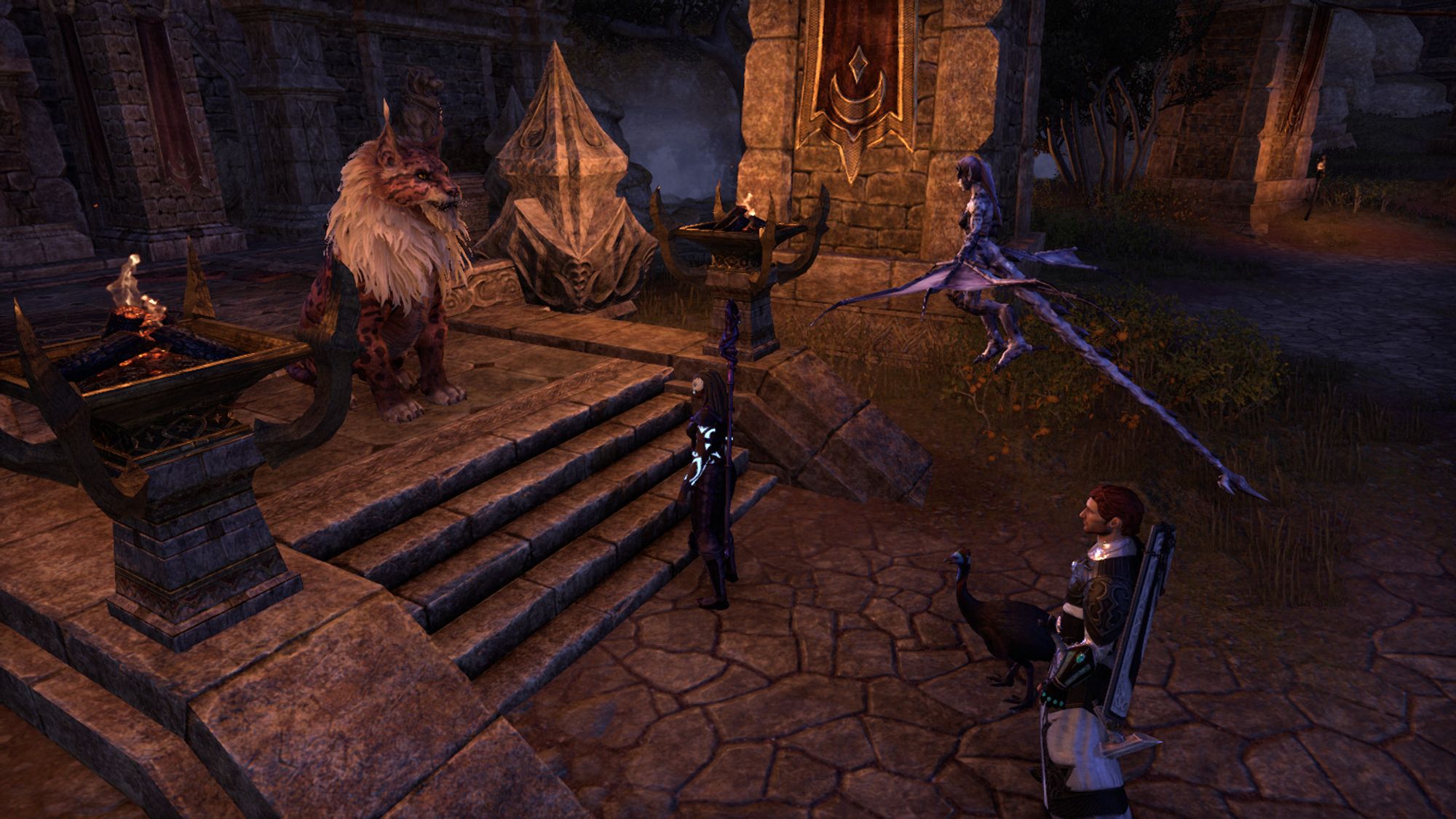 Screenshot from Elder Scrolls Online: The Vestige (a Redguard woman in purple silks with glowing blue tattoos all over her body) meets with a large lion-lynx khajiit named Old Ri'jhaad sitting at the top of some stairs. Her companions, Bastian (an Imperial man in shining black and white armor), a twilight daedra (gargoyle-succubus), and a fellrunner (flightless bird) are all waiting behind her.