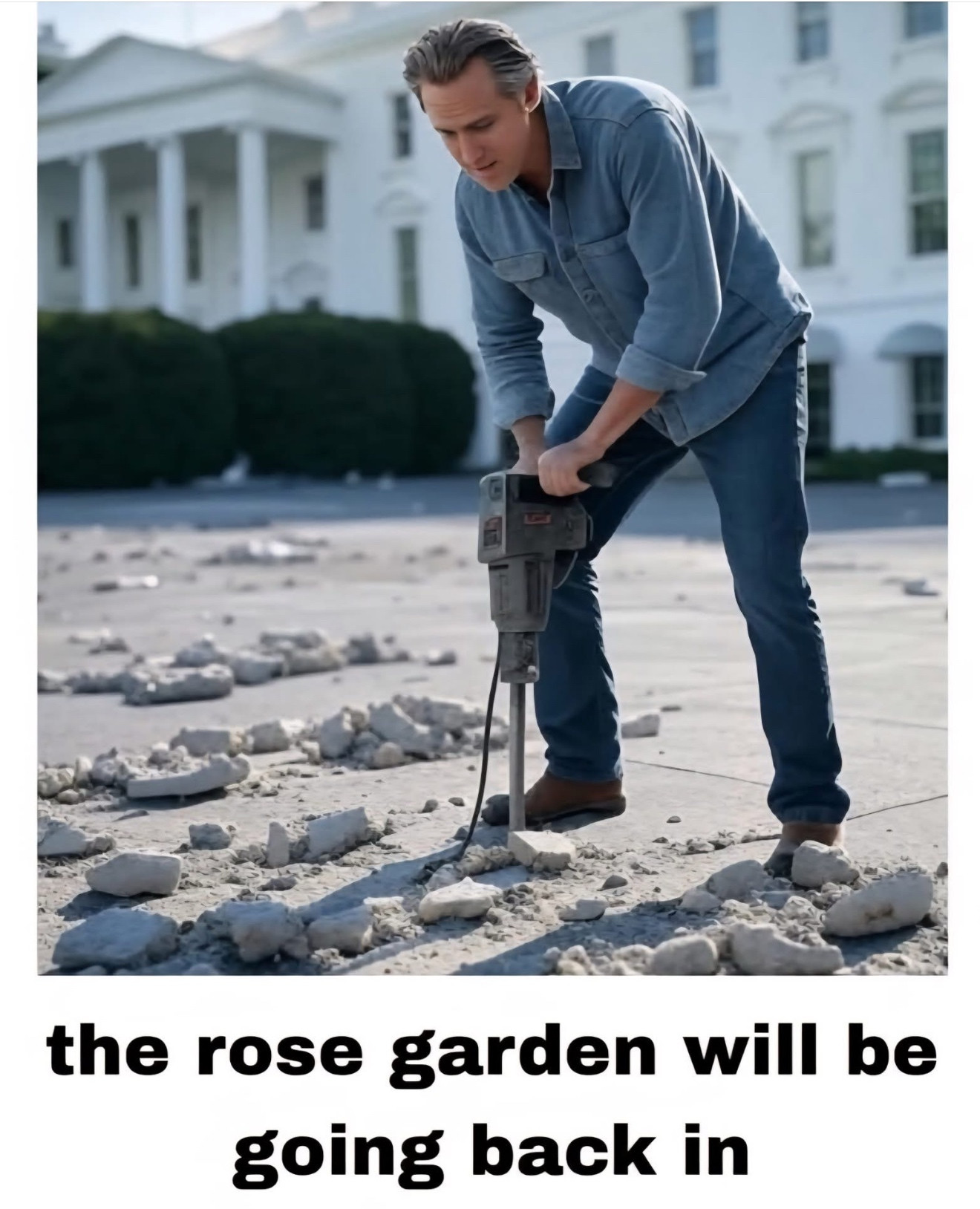 the rose garden will be going back in
