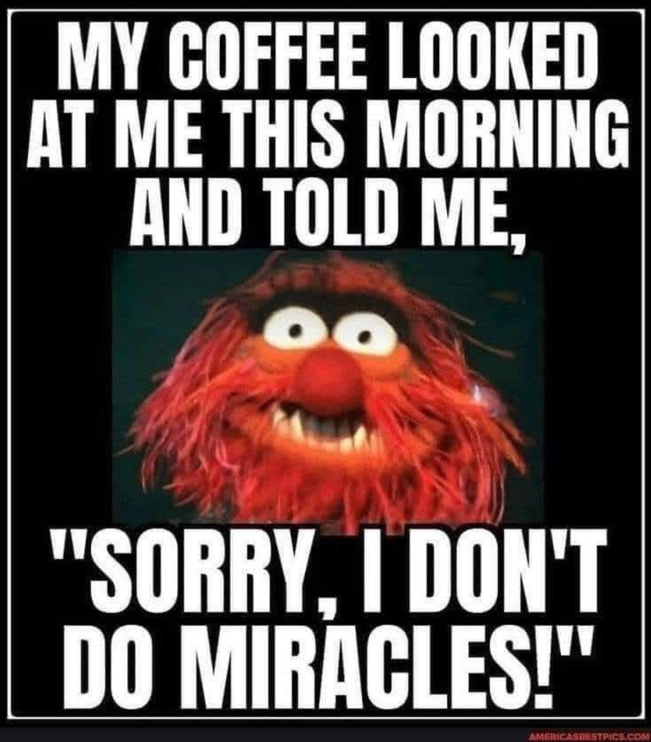 MY COFFEE LOOKED AT ME THIS MORNING
AND TOLD ME,
"SORRY, I DON'T DO MIRACLES!"