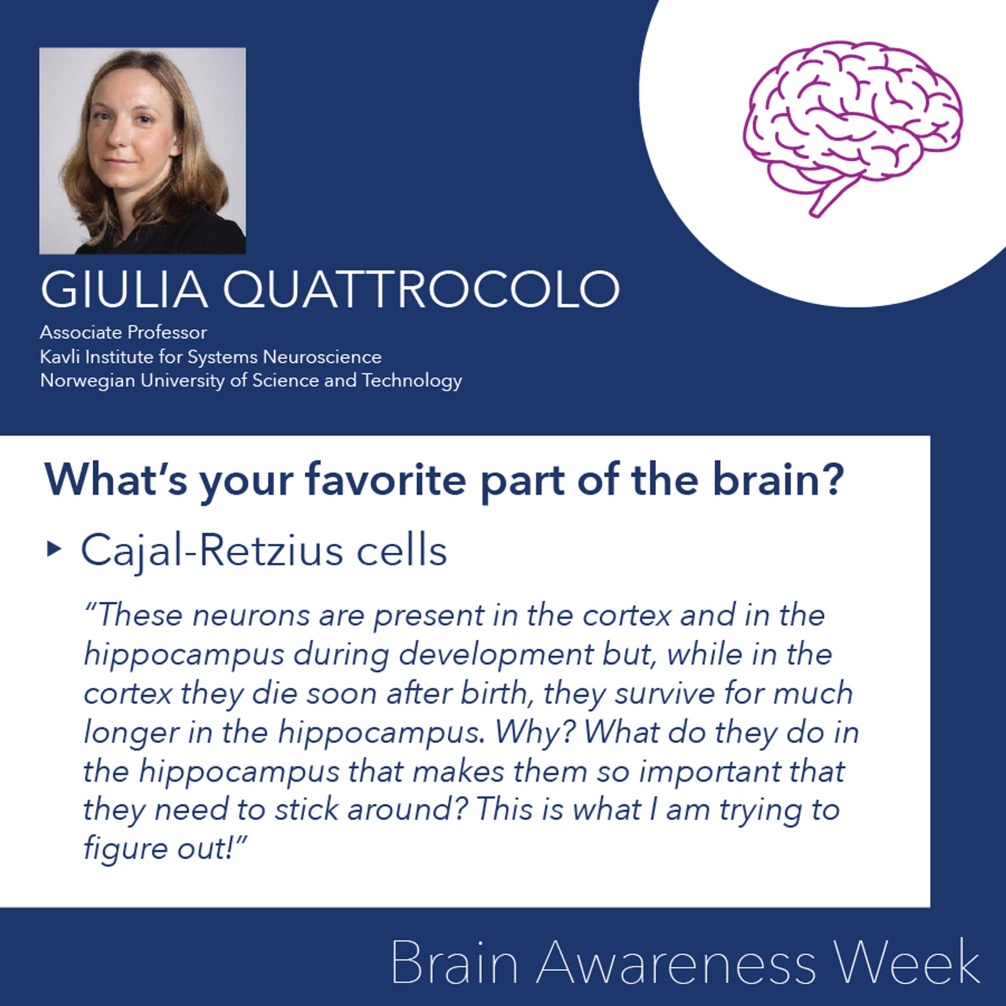 Giulia Quattrocolo
What’s your favorite part of the brain? 
Cajal-Retzius cells
“These neurons are present in the cortex and in the hippocampus during development but, while in the cortex they die soon after birth, they survive for much longer in the hippocampus. Why? What do they do in the hippocampus that makes them so important that they need to stick around? This is what I am trying to figure out!”