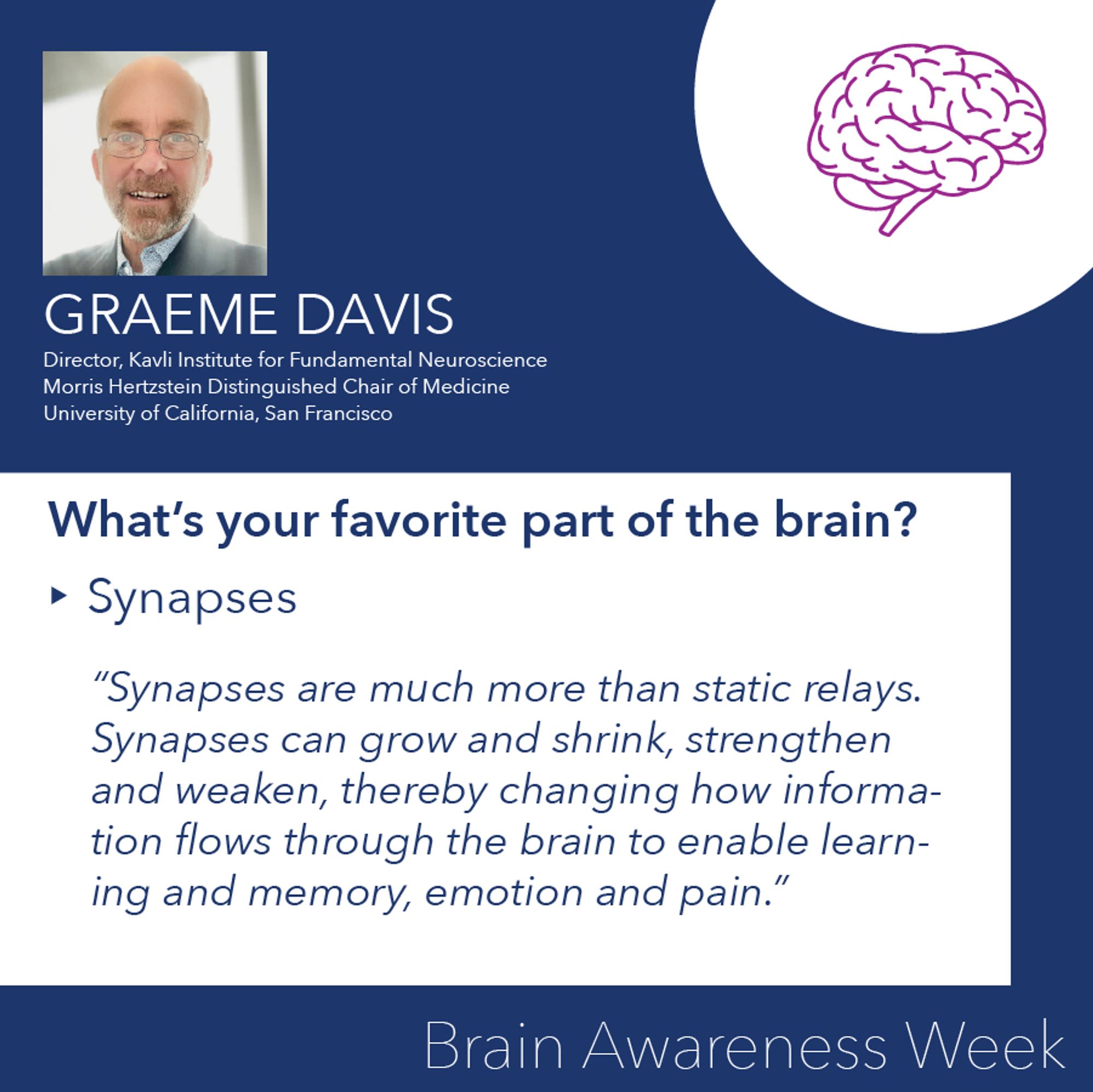 Graeme Davis
What’s your favorite part of the brain? 
Syapses
“Synapses are much more than static relays. Synapses can grow and shrink, strengthen and weaken, thereby changing how information flows through the brain to enable learning and memory, emotion and pain.”