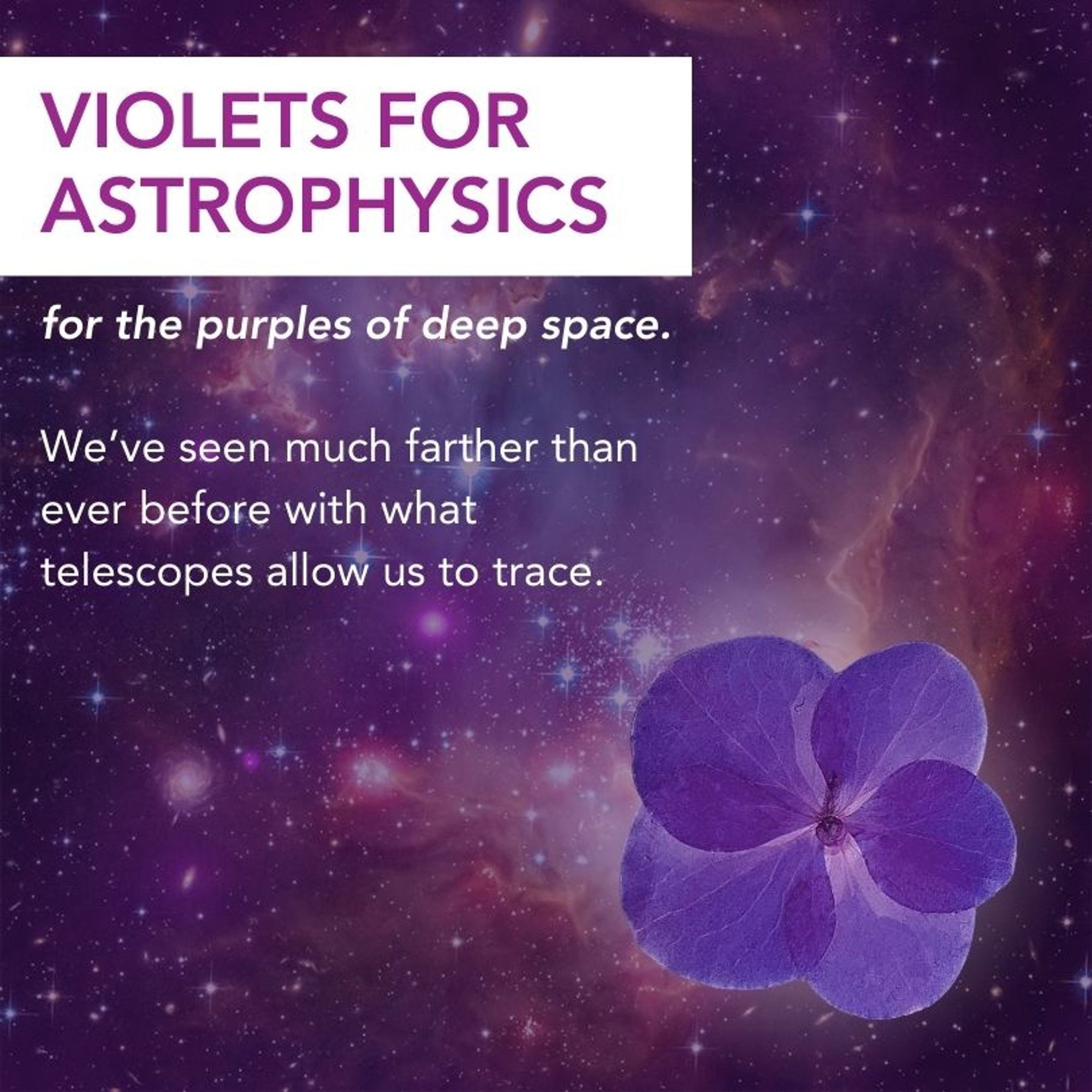 Violets for astrophysics: for the purples of deep space. We've seen much farther than ever before with what telescopes allow us to trace.