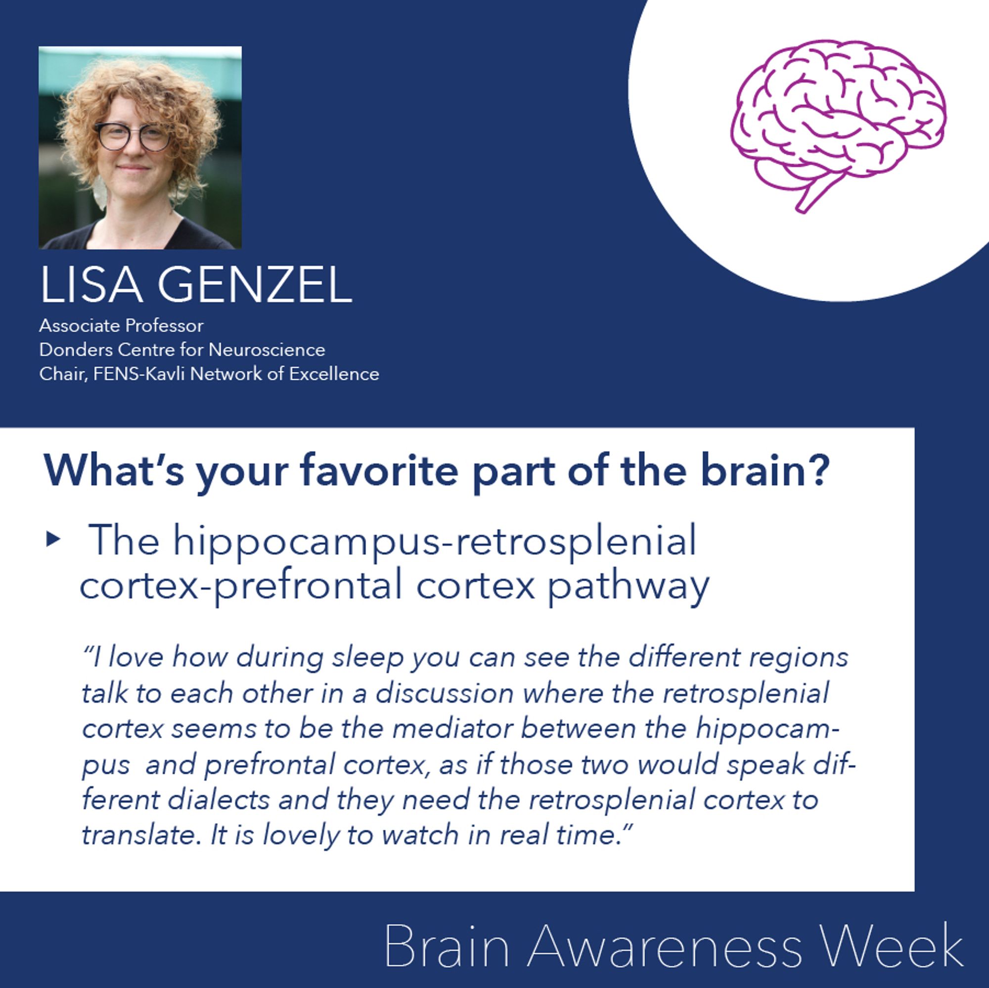 Lisa Genzel
What’s your favorite part of the brain? 
The hippocampus-retrosplenial cortex-prefrontal cortex pathway

“I love how during sleep you can see the different regions talk to each other in a discussion where the retrosplenial cortex seems to be the mediator between the hippocampus  and prefrontal cortex, as if those two would speak different dialects and they need the retrosplenial cortex to translate. It is lovely to watch in real time.”