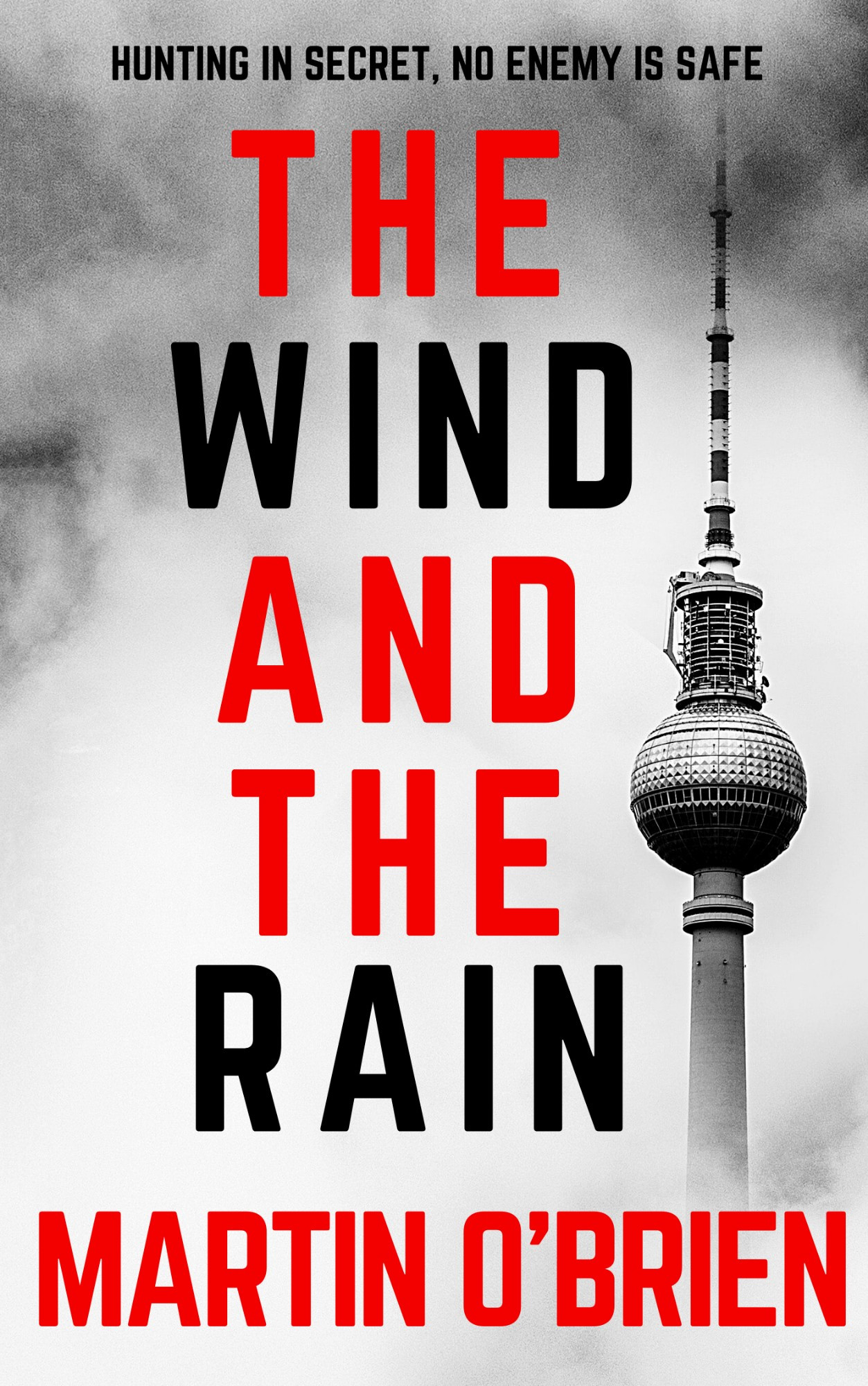 Front cover of The Wind And The Rain by Martin O'Brien.