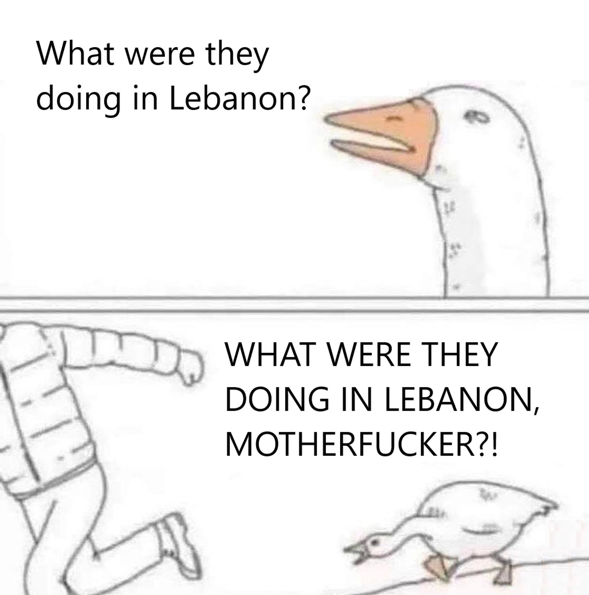 Angry goose meme 
Panel 1: What were they doing in Lebanon?
Panel 2: WHAT WERE THEY DOING IN LEBANON, MOTHERFUCKER?!