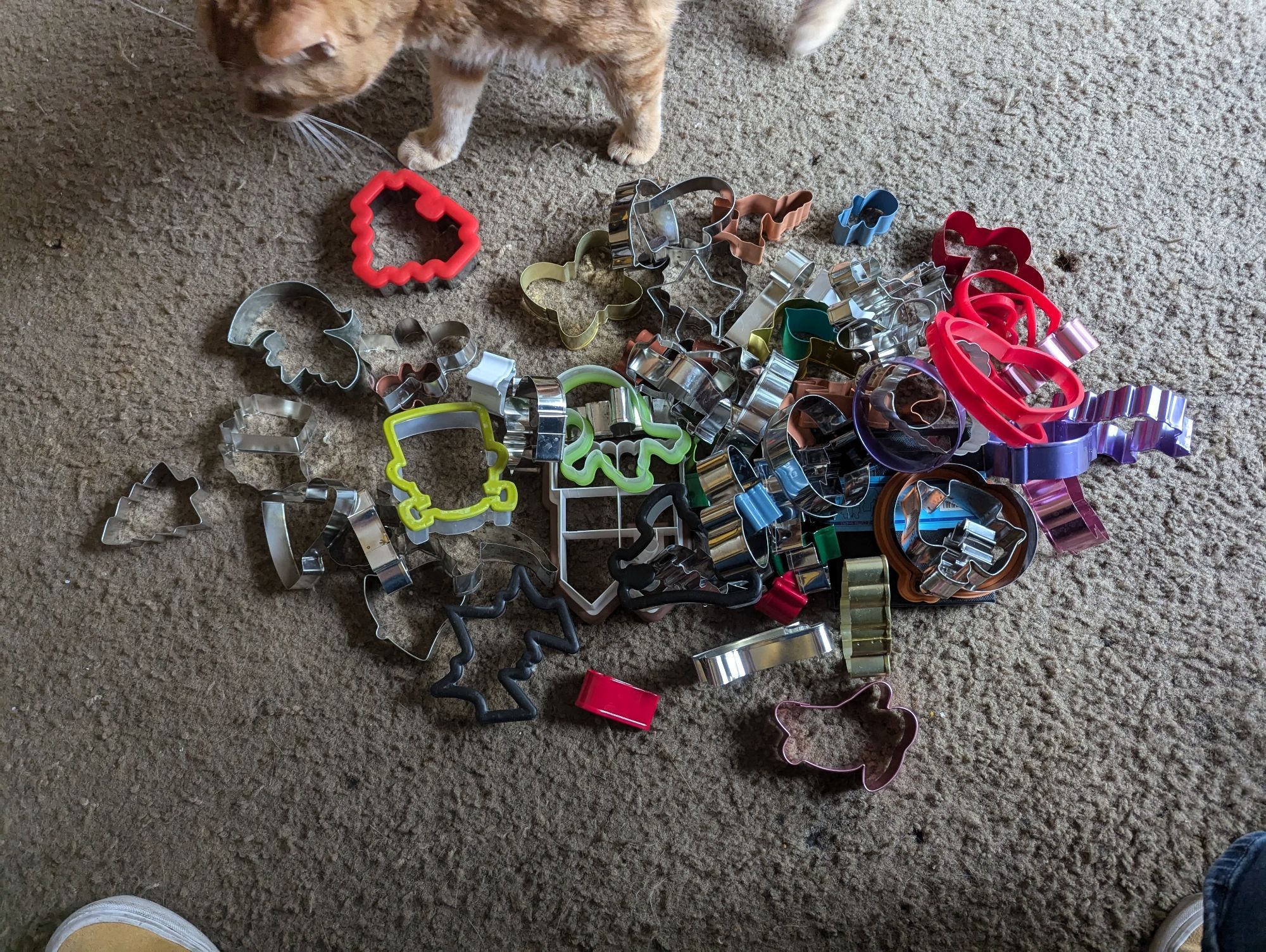 A pile of assorted cookie cutters with a ginger tabby sniffing around them.