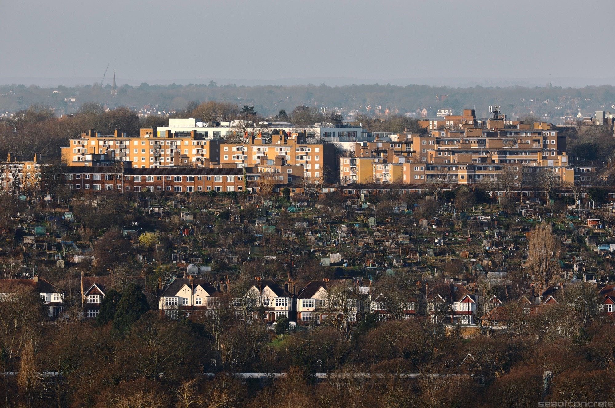 St Martin’s Estate and Rosendale allotments viewed from Dawson’s Heights on a cold February morning. The buildings and the allotment are illuminated by the sun.