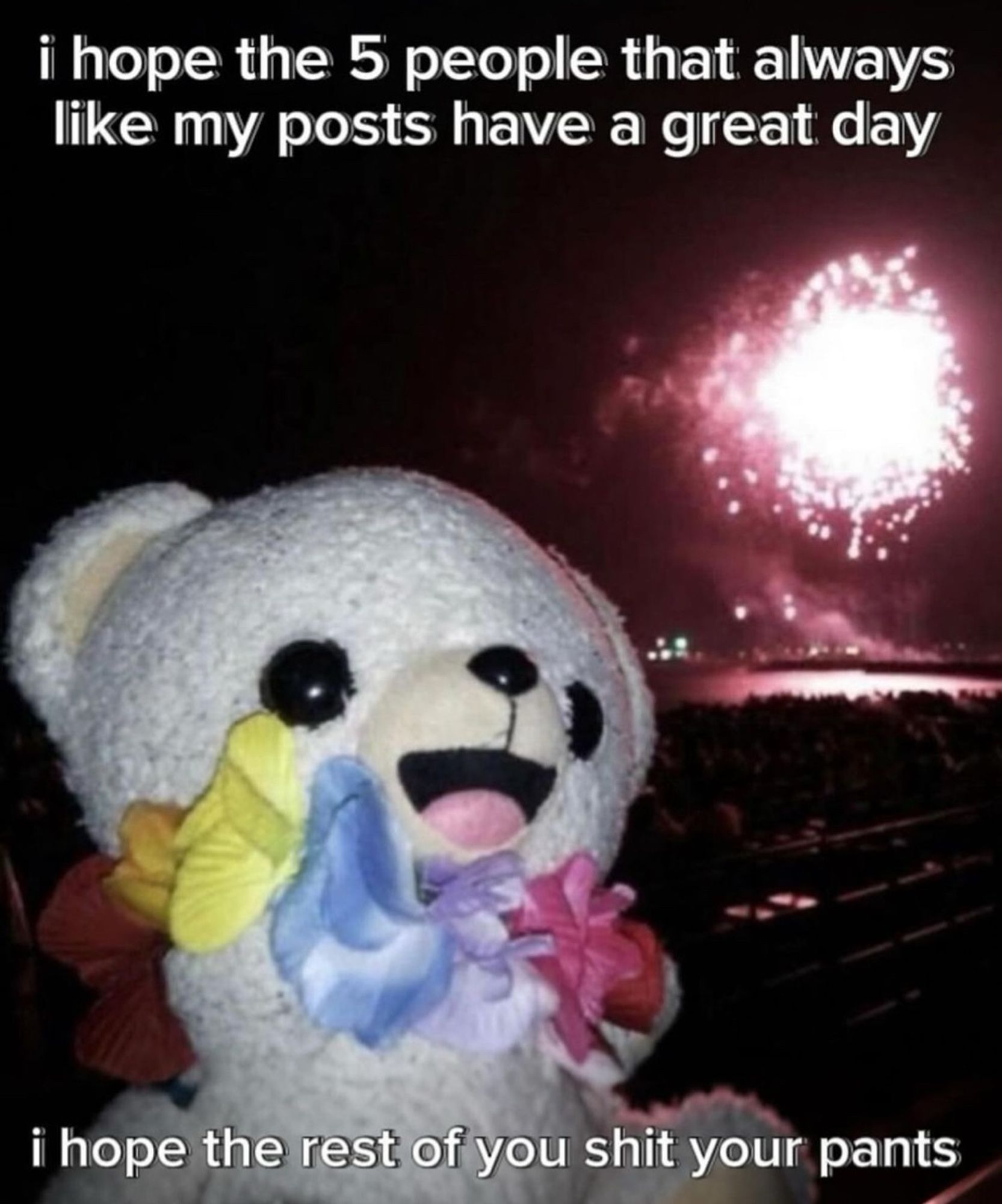 A teddy bear wearing what looks to (unfortunately) be a fake lei and there is a big firework going off in the background. The text says “I hope the 5 people that always like my posts have a great day. I hope the rest of you shit, your pants.”