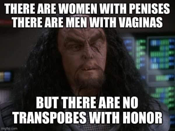 Martok saying “there are women with penises, there are men with vaginas, but there are no transphobes with honor