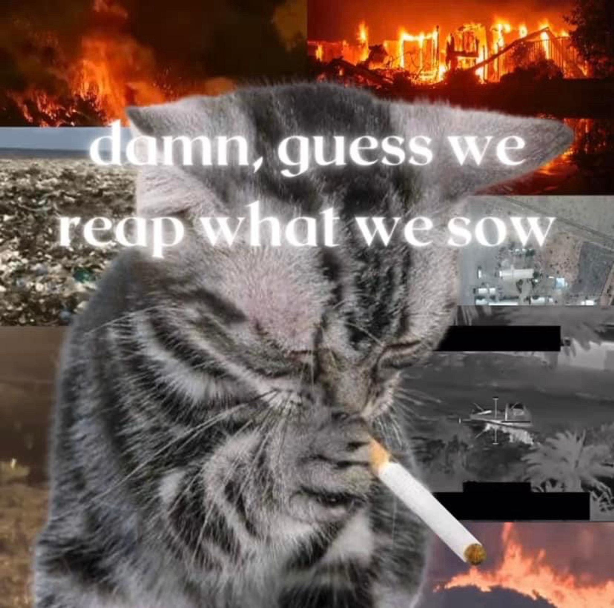 A gray and black kitten, smoking a cigarette in front of a bunch of burning buildings and it says “damn, guess we reap what we sow”