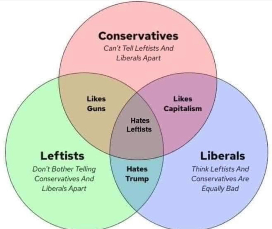 Venn diagram showing that the biggest thing these groups have in common is hating leftists. Also see bot