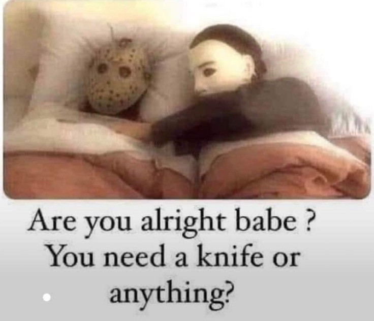 Michael Myers, and Jason Voorhees, laying in bed under a pink blanket. Michael Myers reaches over to touch Jason’s chest and says “are you all right babe? You need a knife or anything? “