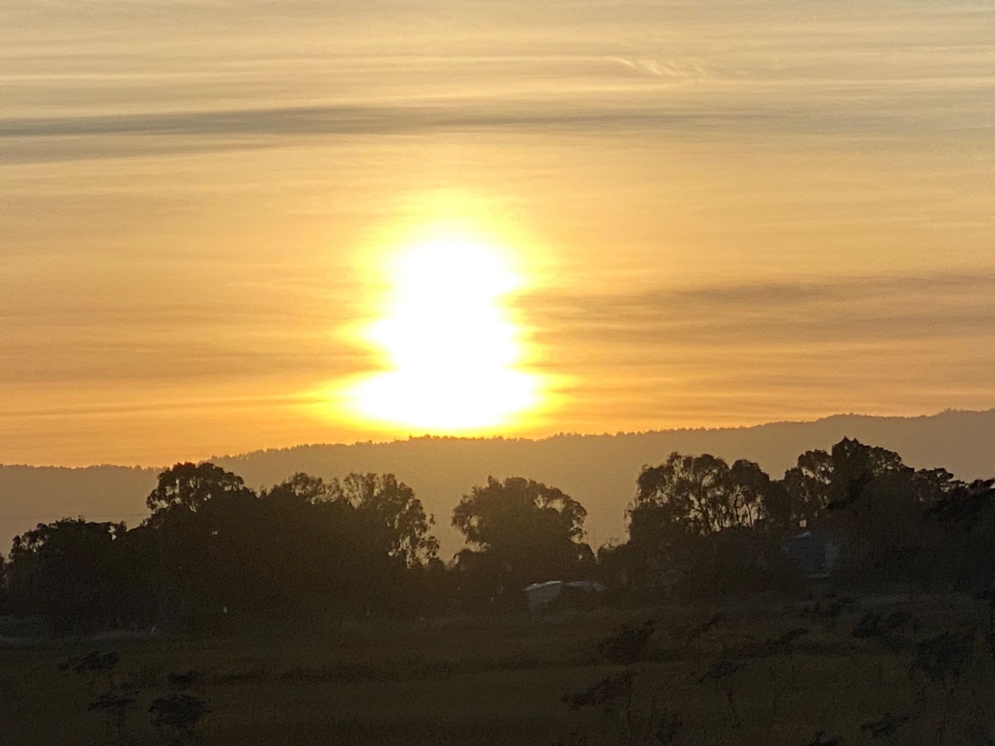 Sunset, trees below