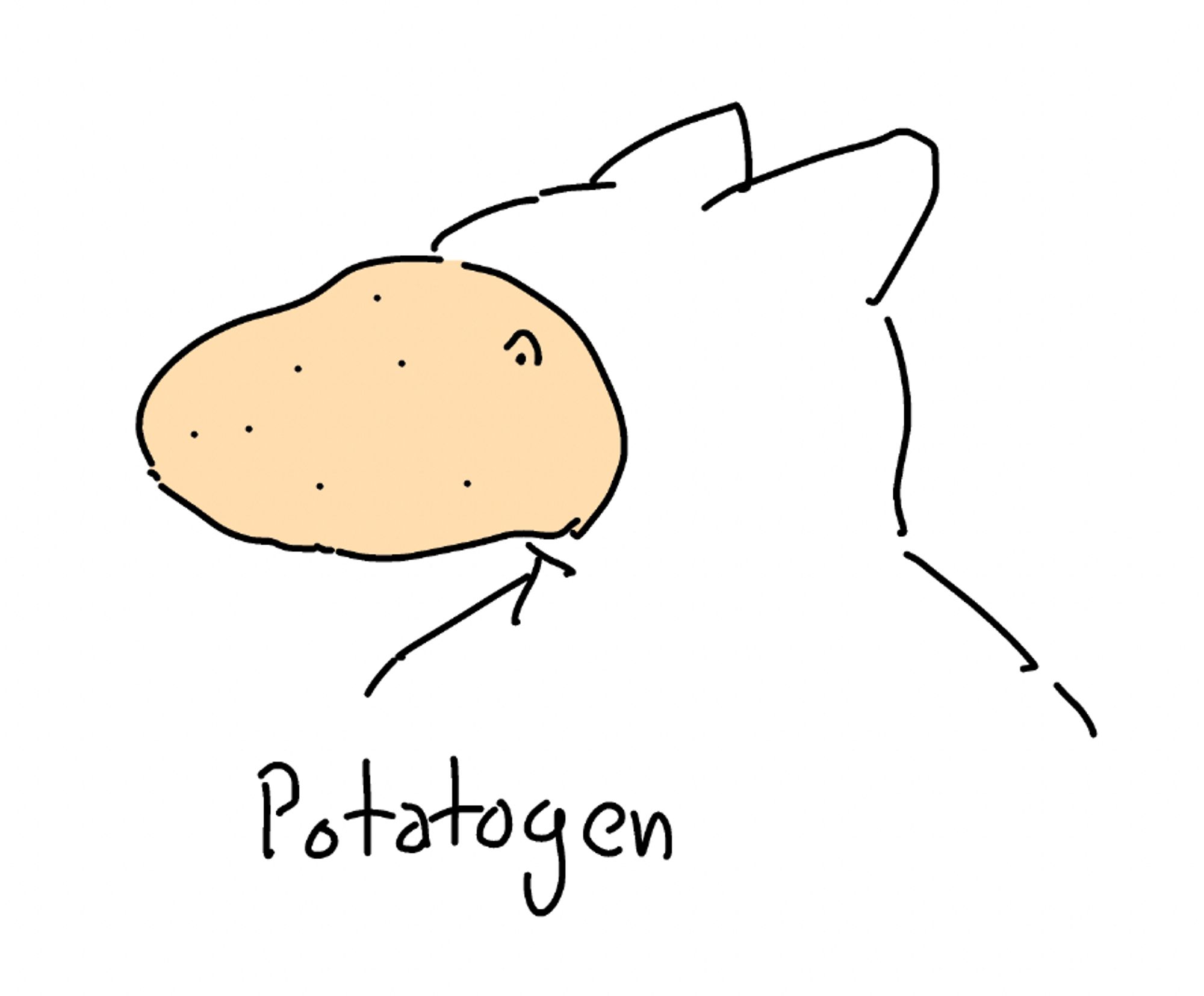 "Potatogen" creature...potato-snouted guy. From Idaho