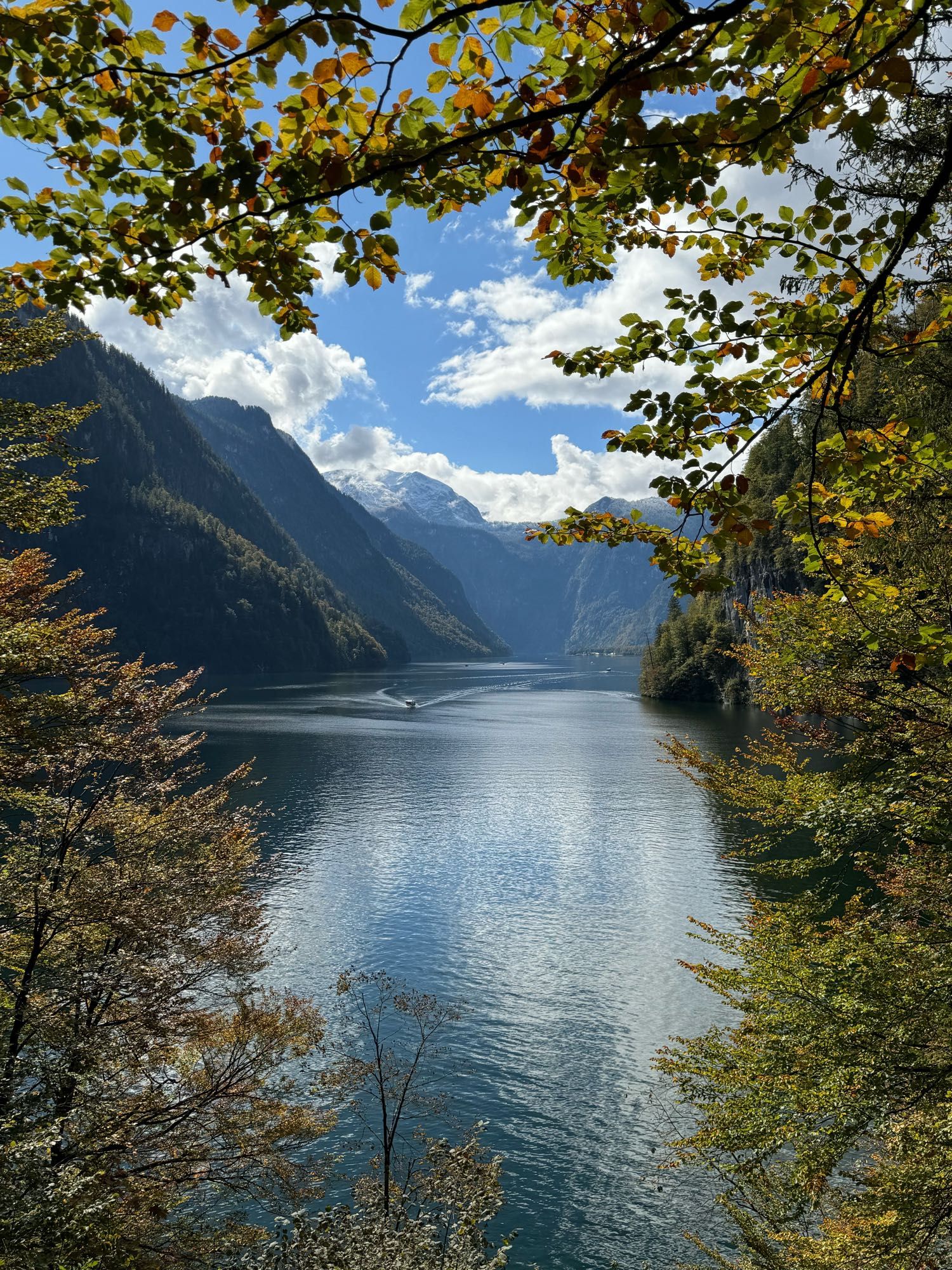 Königssee. King’s lake in the Alps. The photo is framed by trees just beginning to change. A beautiful lake reflects the blue sky with white clouds. Mountains rise at a severe angle on Al three sides. The far mountain has some snow.