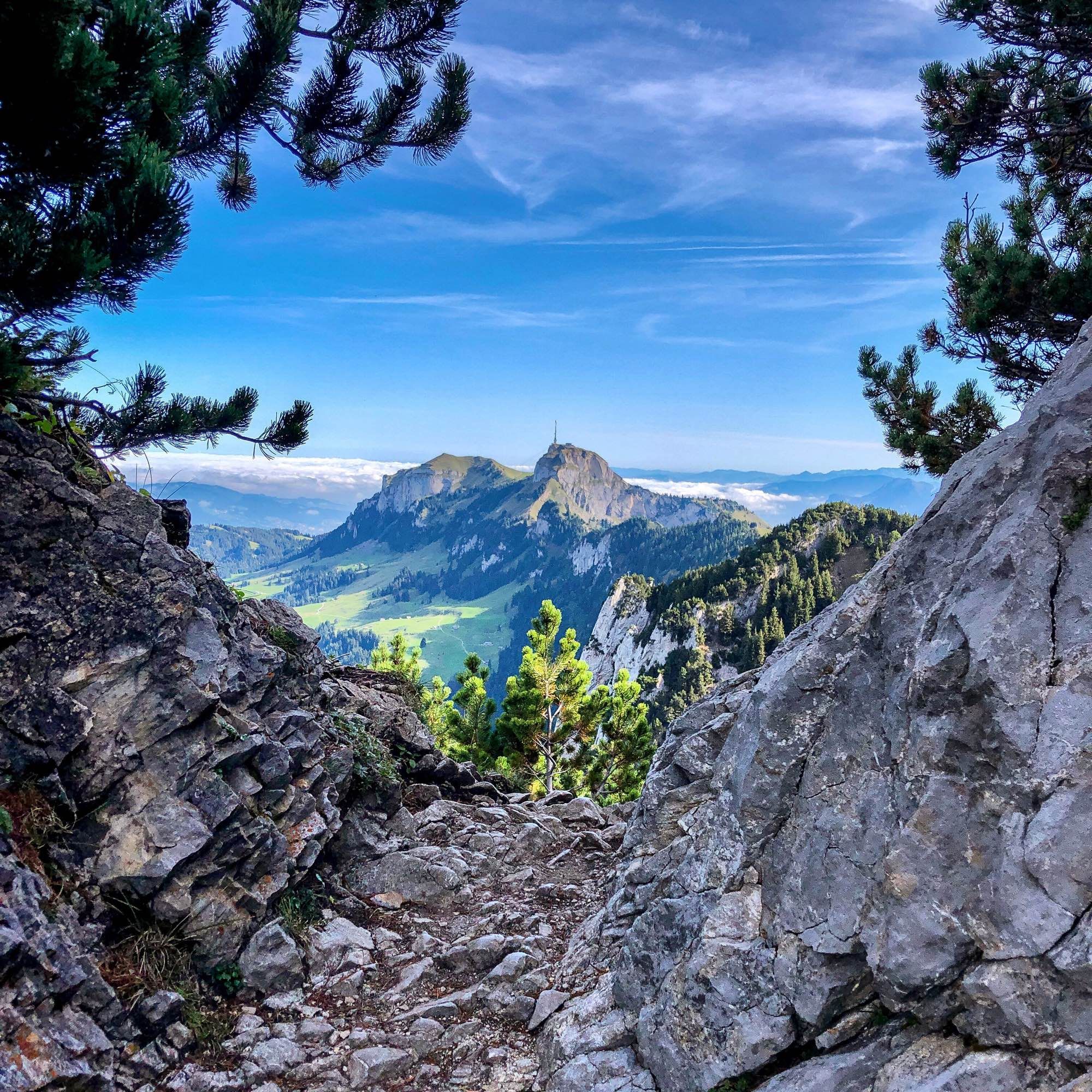 Das Bild zeigt einen felsigen Wanderweg, der von Nadelbäumen gesäumt ist und zu einem Aussichtspunkt führt. Im Hintergrund erhebt sich ein markanter Berg mit einem Sendeturm auf der Spitze, der Hohe Kasten. Der Himmel ist klar und blau, mit vereinzelten Wolken am Horizont. Die Landschaft darunter ist grün und weitläufig, mit sanften Hügeln und Wiesen.