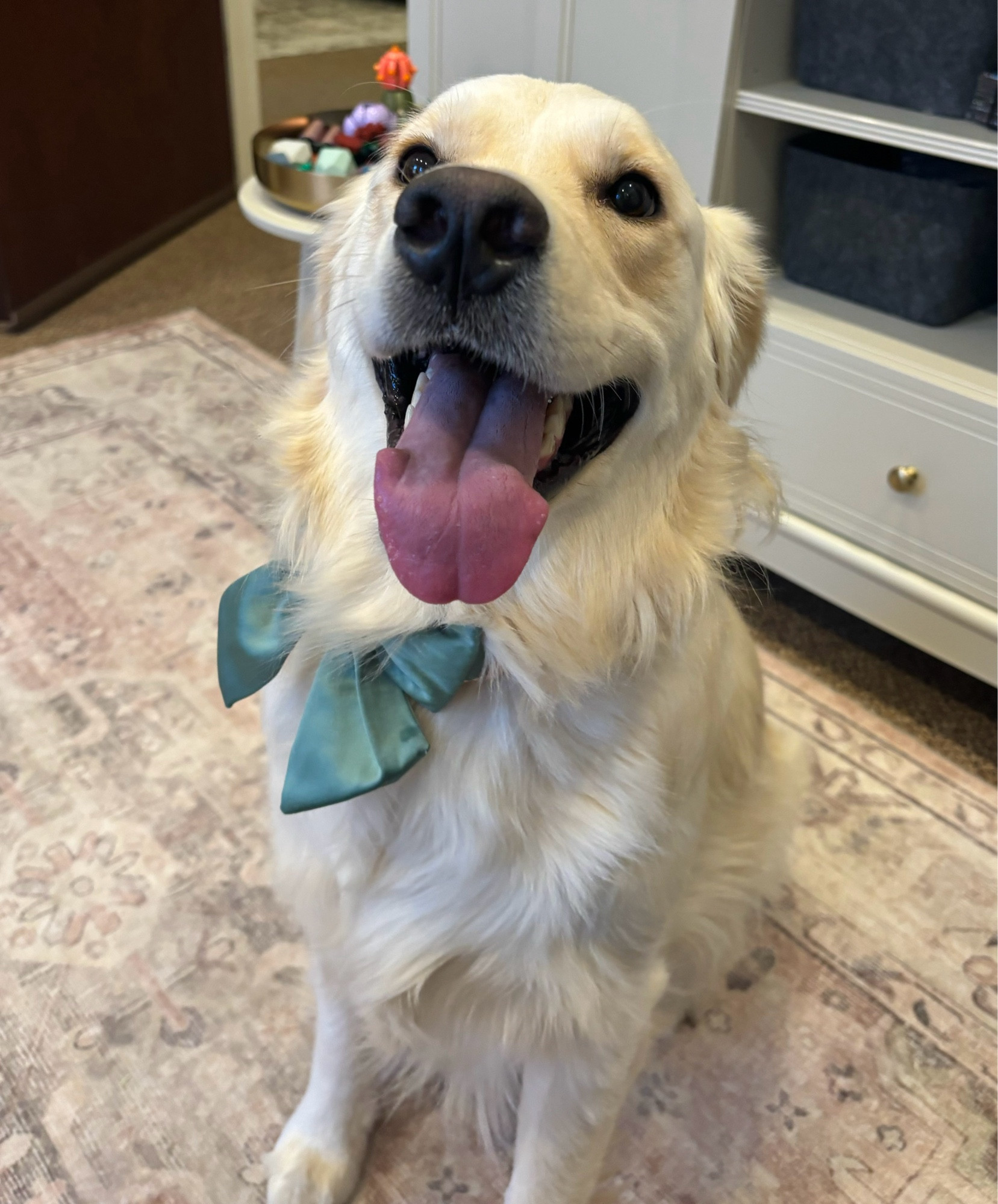 The happiest and goodest golden girl