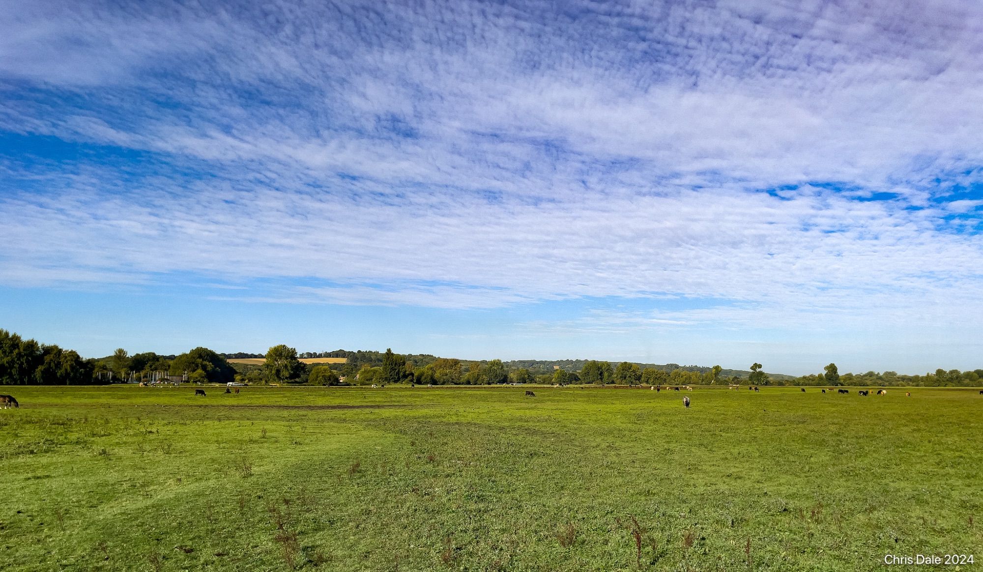 A large green meadow under blue skies and white clouds. There is a hill, a line of trees, and a village across the middle