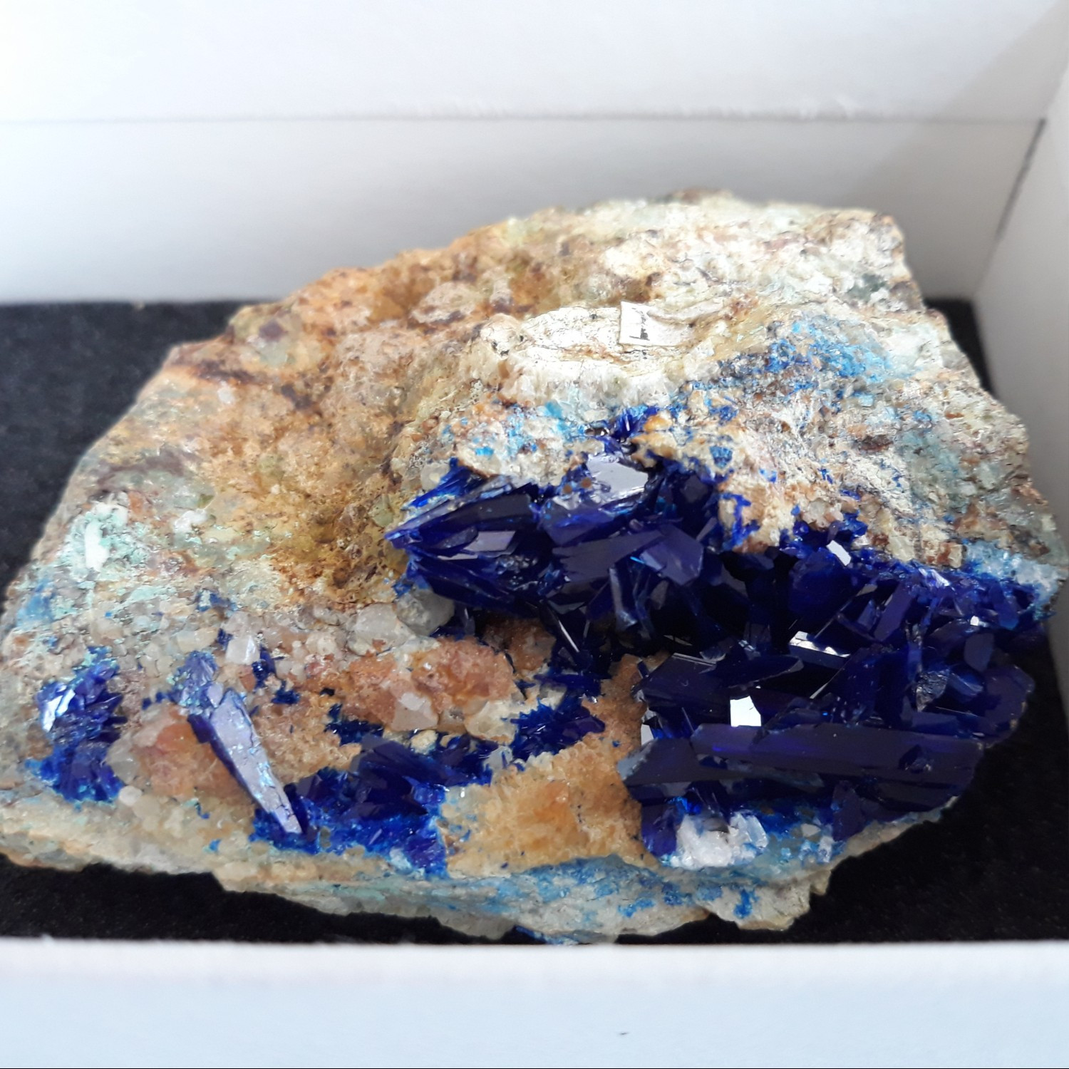 Deep blue, angular crystals of linarite on a cream groundmass. 