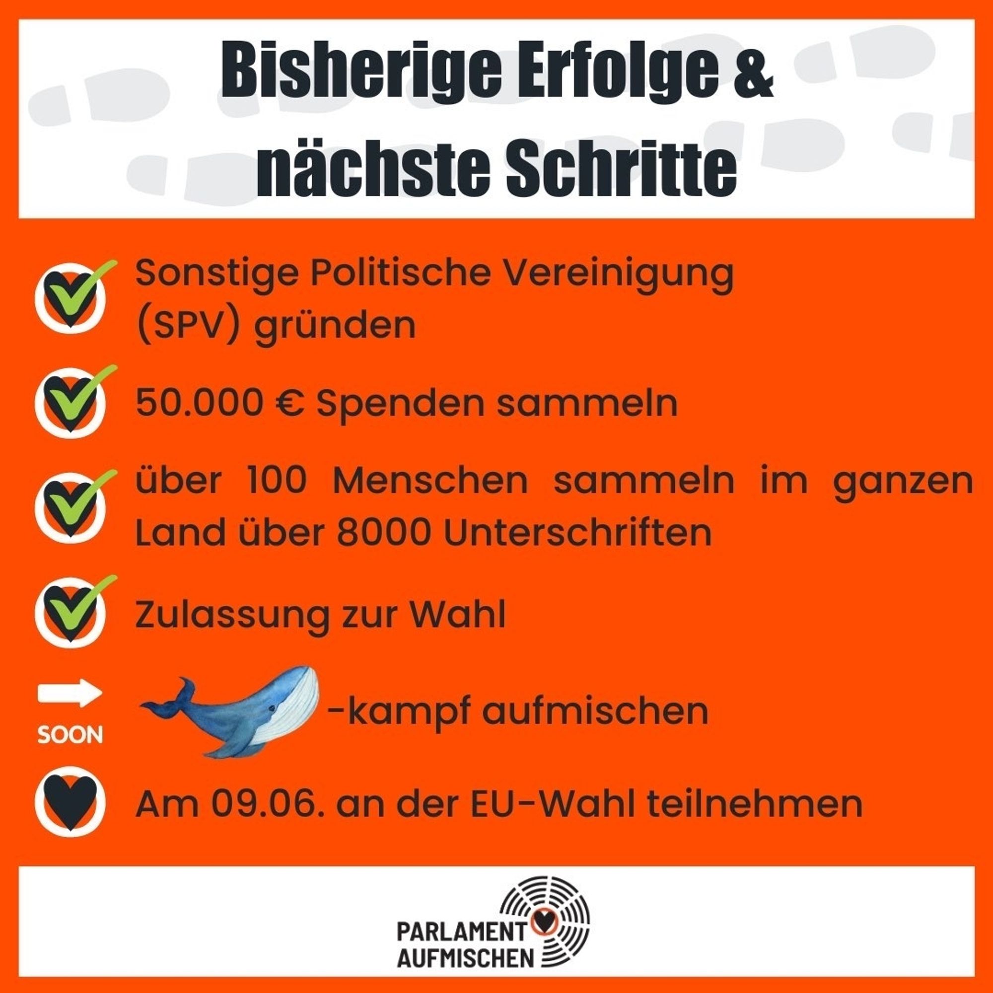 Bisherige Erfolge und nächste Schritte

Sonstige Politische Vereinigung (SPV) gründen

50.000€ Spenden sammeln

über 100 Menschen sammeln im ganzen Land über 8000 Unterschriften

Zulassung zur Wahl

Bald: Wahlkampf aufmischen

Am 09.06. an der EU-Wahl teilnehmen