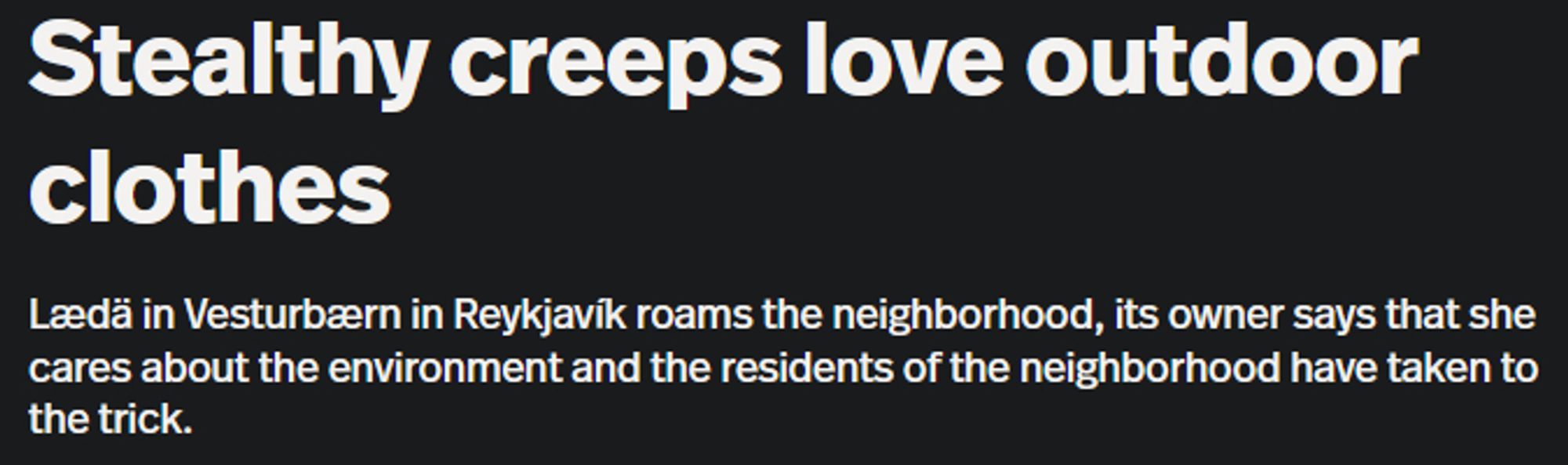 Headline: "Stealth creeps love outdoor clothes"
Subhead: "Lædä in Vesturbærn in Reykjavík roams the neighborhood, its owner says that she cares about the environment and the residents of the neighborhood have taken to the trick."