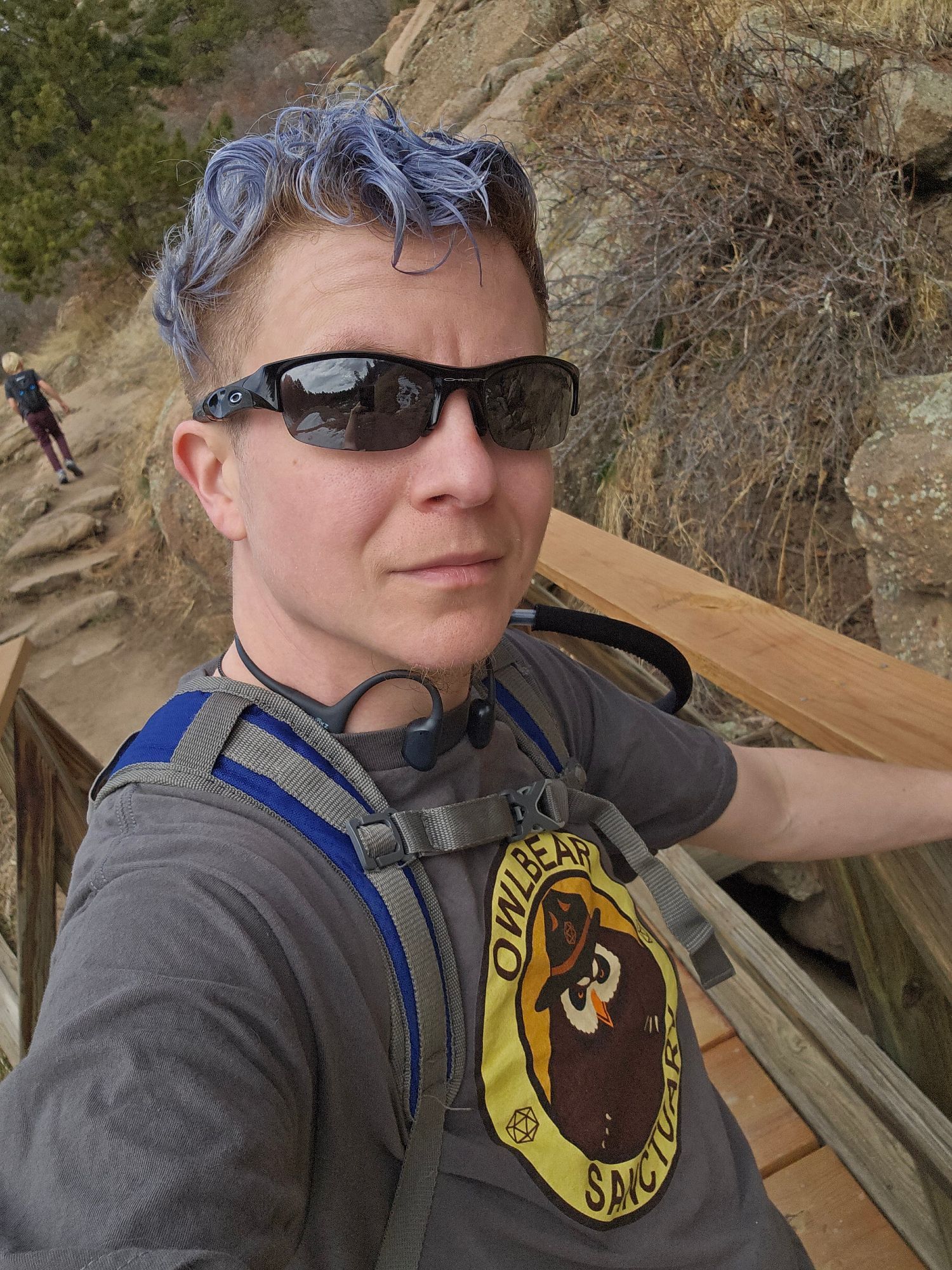 Wow genderqueer person with messy curly silvery blue hair wearing black sunglasses and  a grey tshirt that says owlbear sanctuary, standing smirking gently on a wooden bridge with dramatic rocks climbing up behind them, and an elementary aged white, blonde, child walking dramatically off behind them