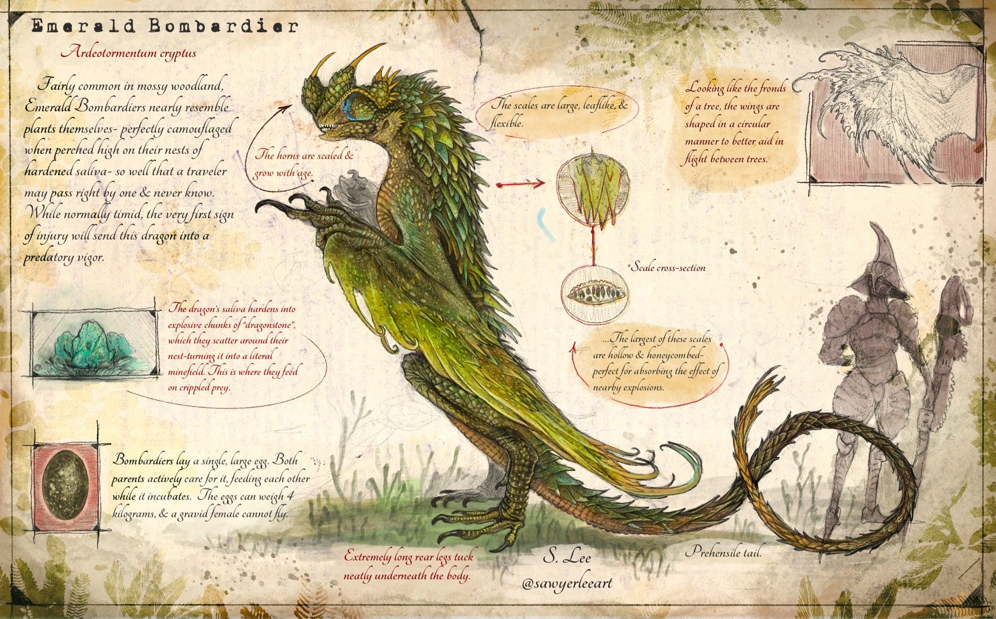 Remake of the Emerald Bombardier. 
    This forest dragon relies on its minefield of explosive stone to kill prey, happily feasting on the maimed & injured. They know exactly where these mines are, & an observant Slayer can follow their precise footpath to approach in one piece.