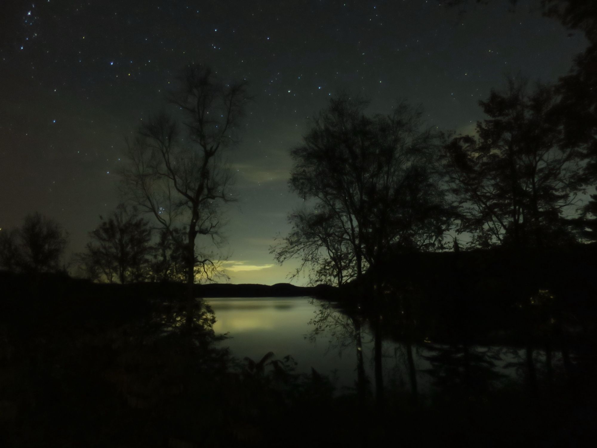 A picture of the night sky, facing northeast.  There are deciduous and evergreen tree silhouettes in the foreground with a lake reflecting the yellow-green hued night sky in the background.