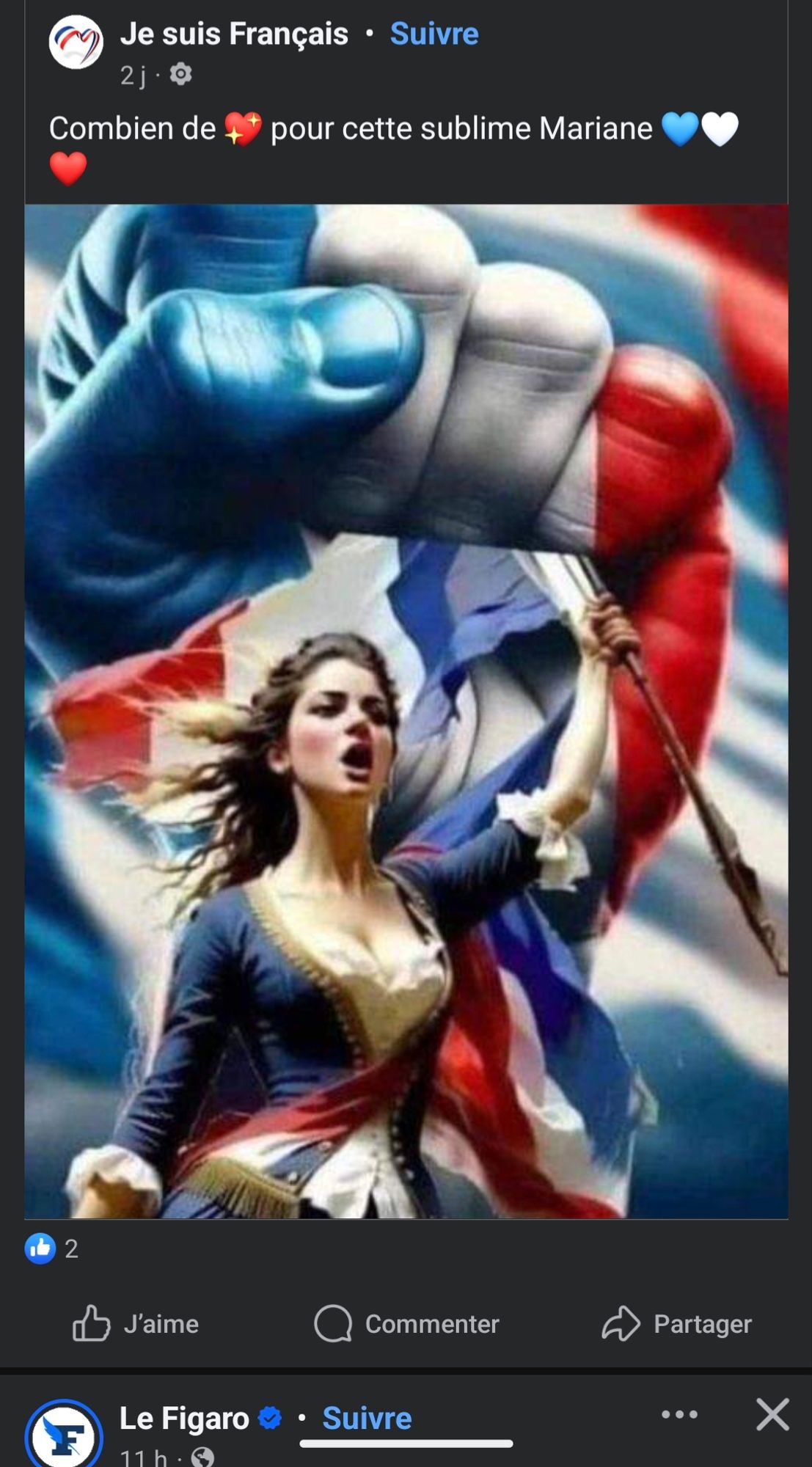 Image compte FB je suis français.

Avec poing tendu bleu blanc rouge.
Une Marianne

Et en texte "combien de coeurs pour cette sublime Mariane puis coeurs bleu blanc rouge"