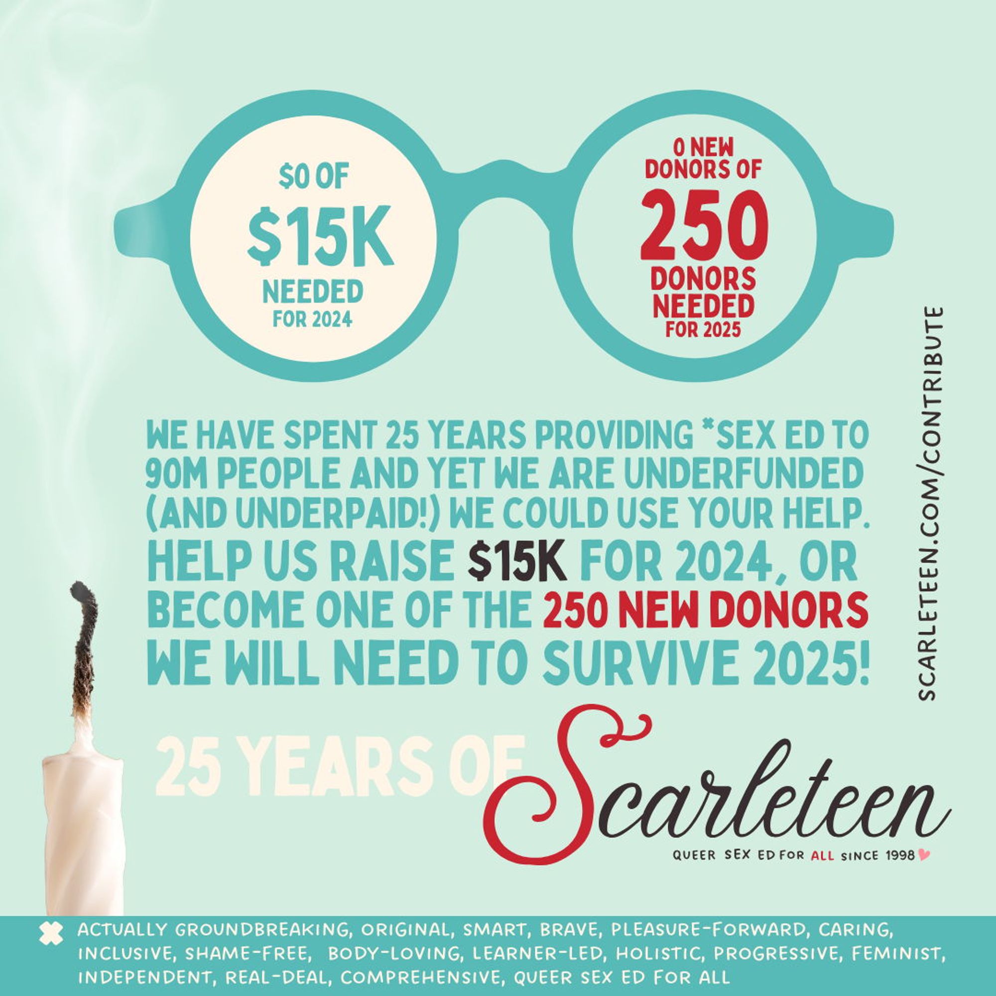 We have spent 25 years providing sex education to 90 million and yet we are underfunded (and underpaid!) We could use your help. Help us raise 15k for 2024, or become one of the 250 new donors we will need to survive 2025! Image shows a snuffed out birthday candle!