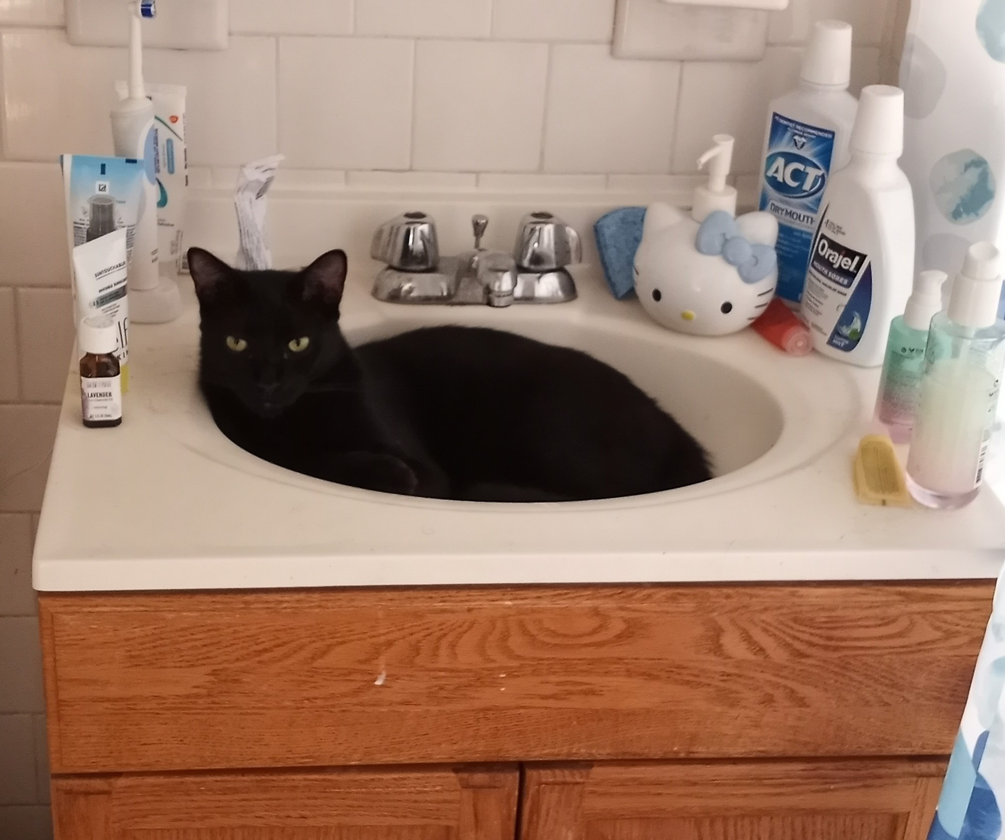 Black cat in bathroom sink surrounded by beauty and hygiene products. 