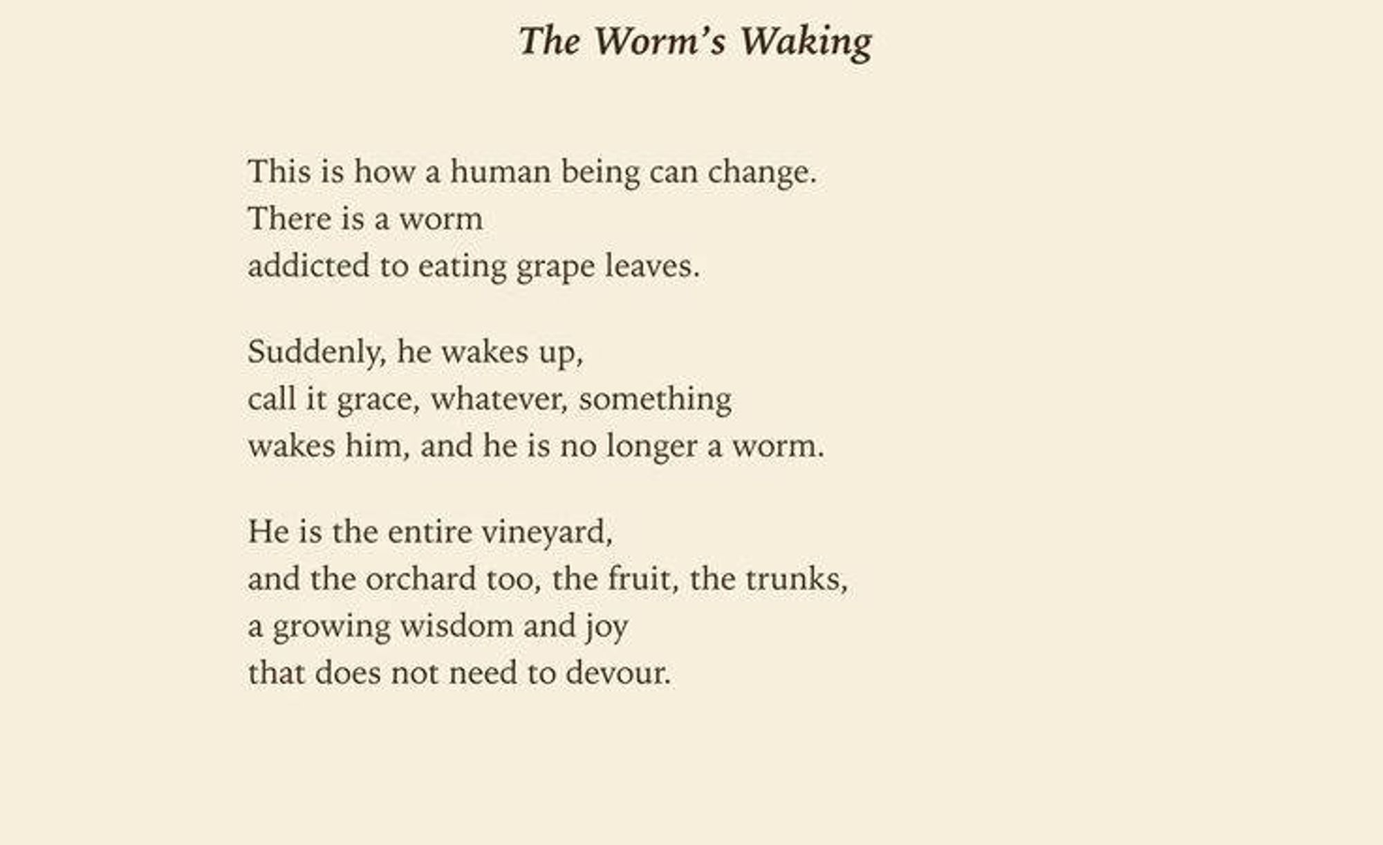 The Worm's Waking

This is how a human being can change. There is a worm addicted to eating grape leaves.

Suddenly, he wakes up, call it grace, whatever, something wakes him, and he is no longer a worm.

He is the entire vineyard, and the orchard too, the fruit, the trunks, a growing wisdom and joy that does not need to devour.