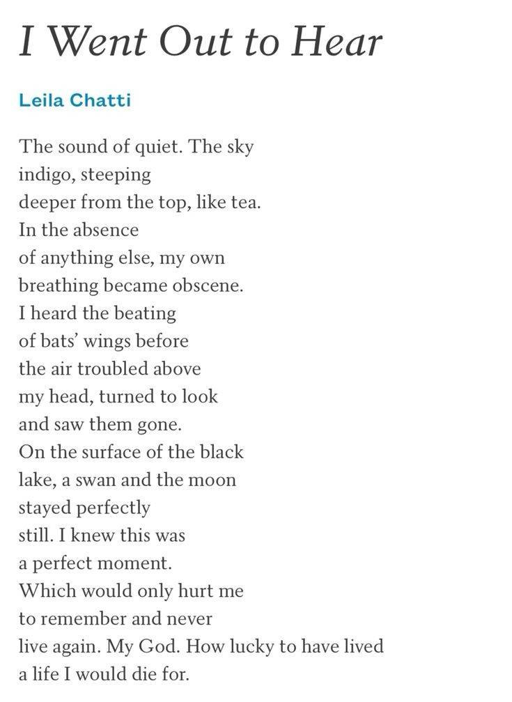 I Went Out to Hear

Leila Chatti

The sound of quiet. The sky indigo, steeping deeper from the top, like tea. In the absence of anything else, my own breathing became obscene. I heard the beating of bats' wings before the air troubled above my head, turned to look and saw them gone. On the surface of the black lake, a swan and the moon stayed perfectly

still. I knew this was a perfect moment. Which would only hurt me to remember and never live again. My God. How lucky to have lived a life I would die for.