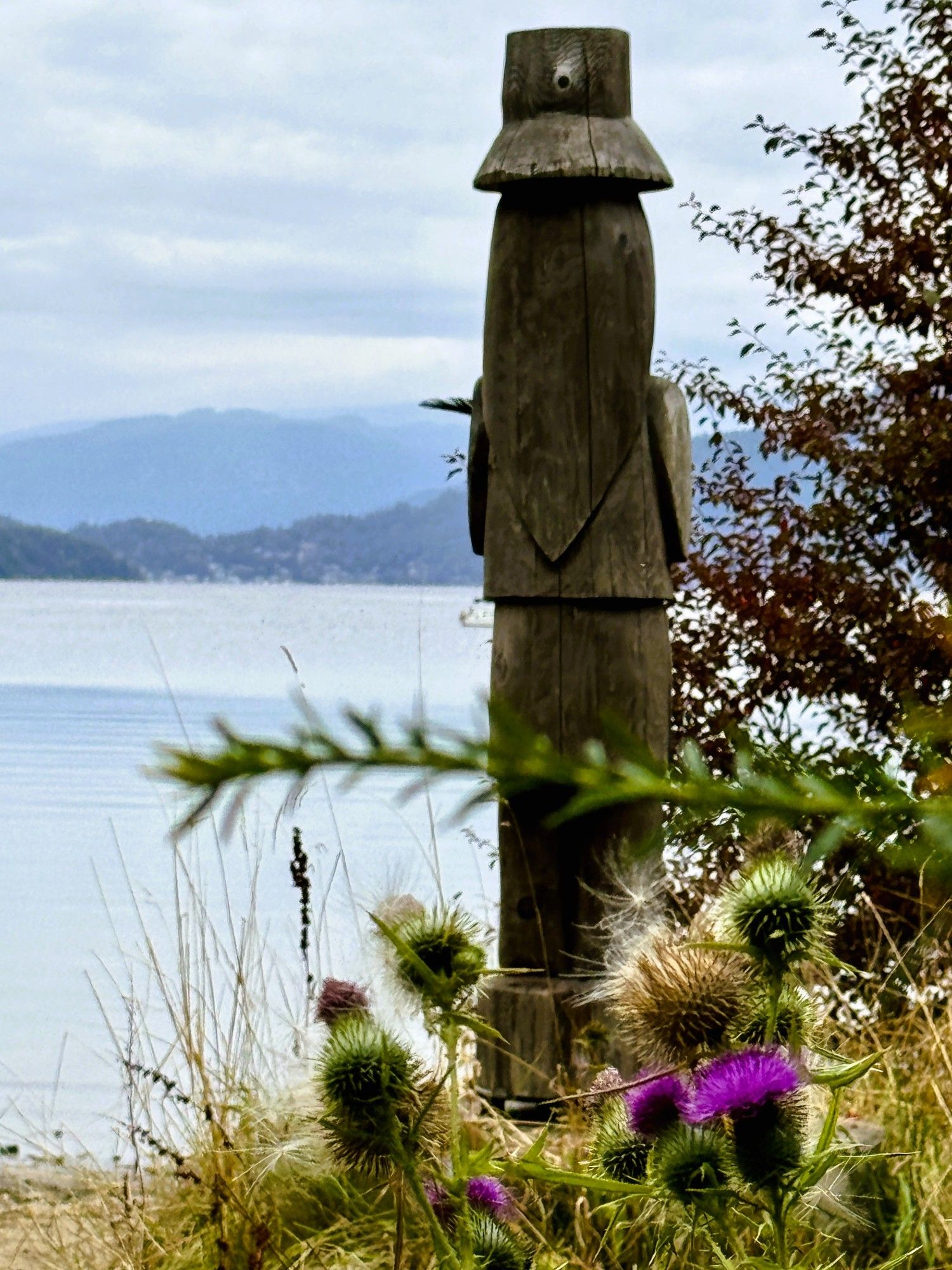 A view of the back of a wooden carving overlooking a lake with mountains in the background and thistles in the foreground.