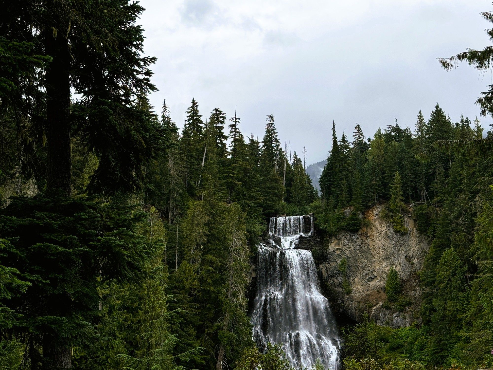 Beautiful vista of a waterfall surrounded by pine trees.