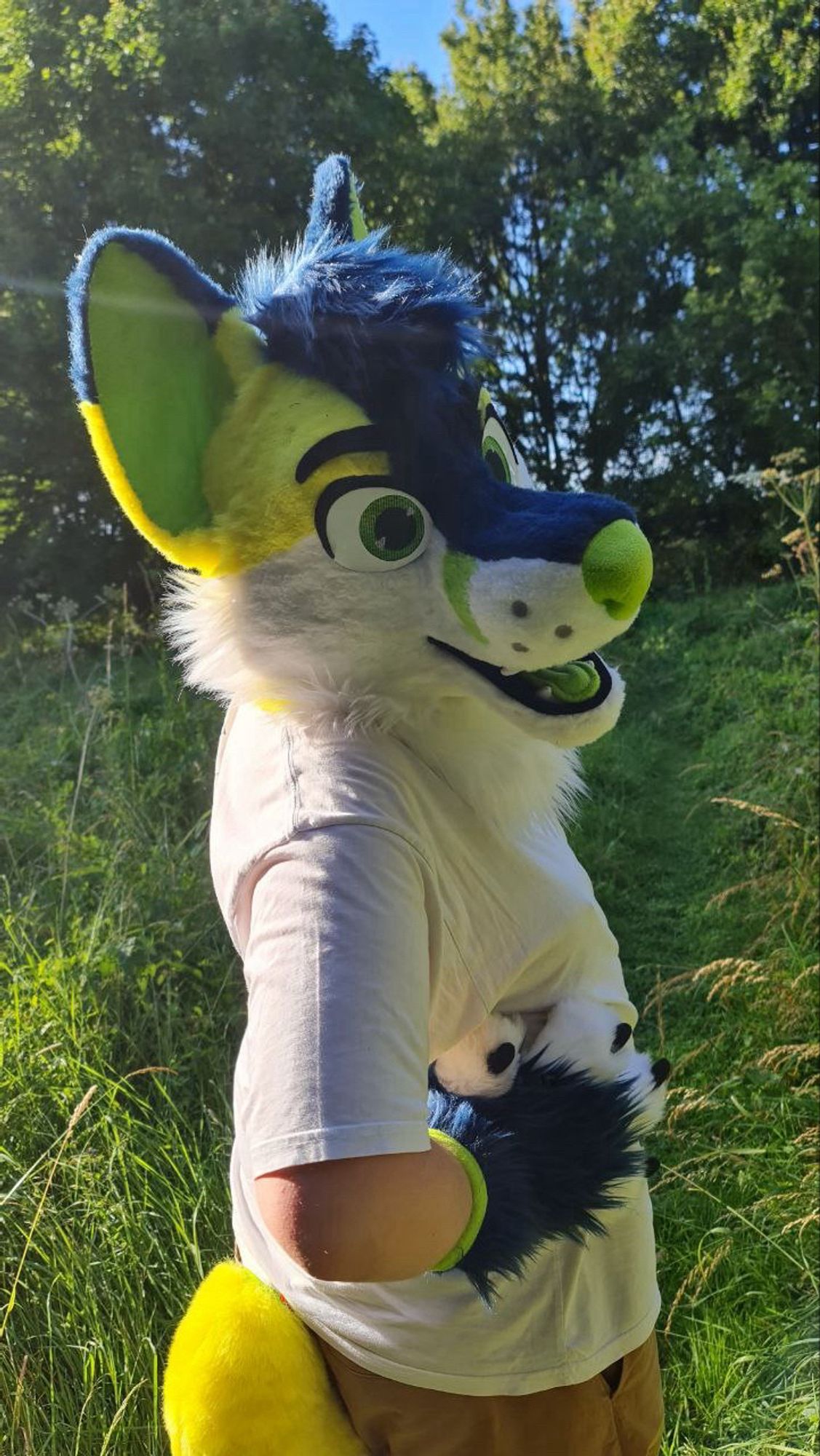 me in fursuit, wearing a white t-shirt and brown shorts, posing side-on to the camera with my paws on hips. lots of tall grass and trees are in the background