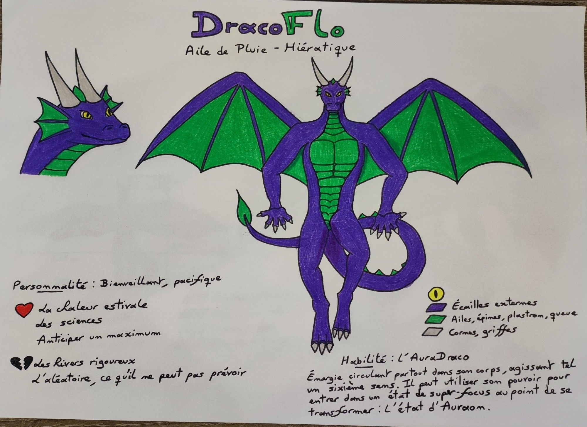 DracoFlo's main refsheet