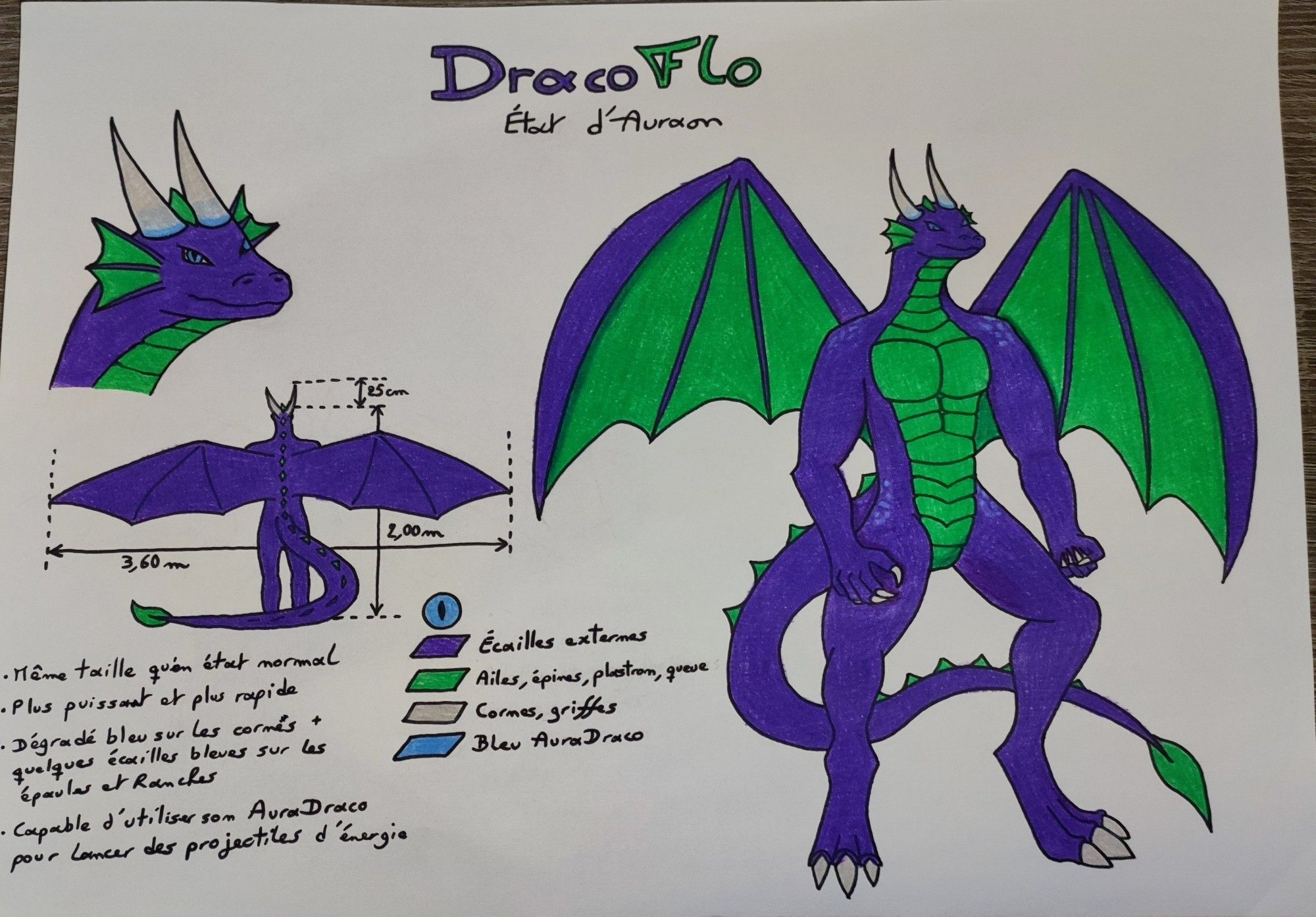 DracoFlo's secondary refsheet, describing his Auraon Transformation