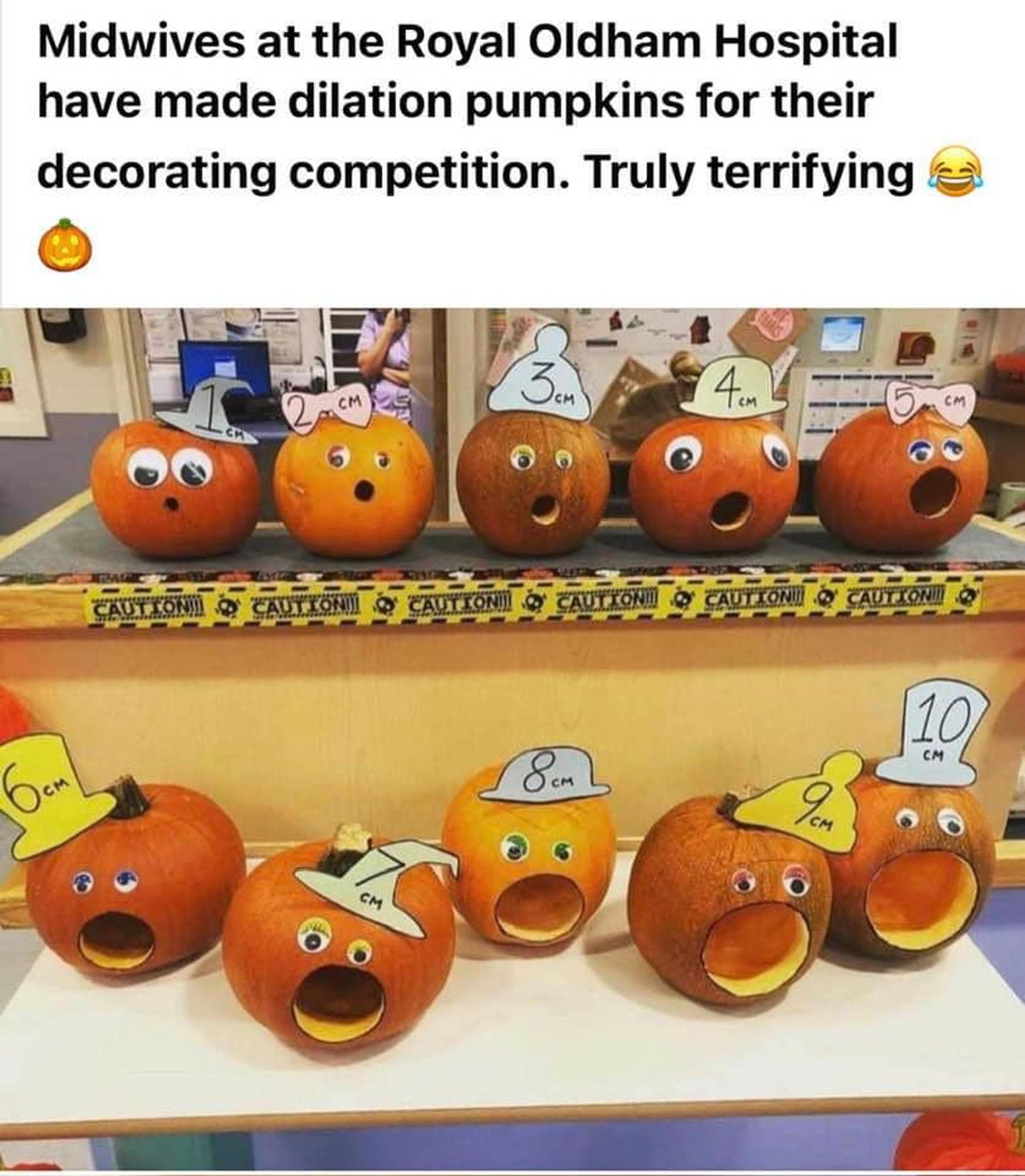 Text reads: Midwives at the Royal Oldham Hospital (UK) have made dilation pumpkins for their decorating competition. Truly terrifying.
Photo shows a series of 10 pumpkins with mouths at increasing dilation, from 1cm to 10cm. They each have their respective measurement written on a little cardboard hat.