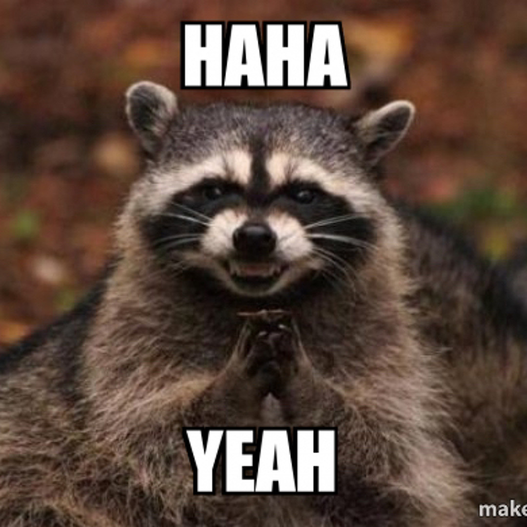 Raccoon rubbing its hands together and grimacing. Text reads HAHA YEAH