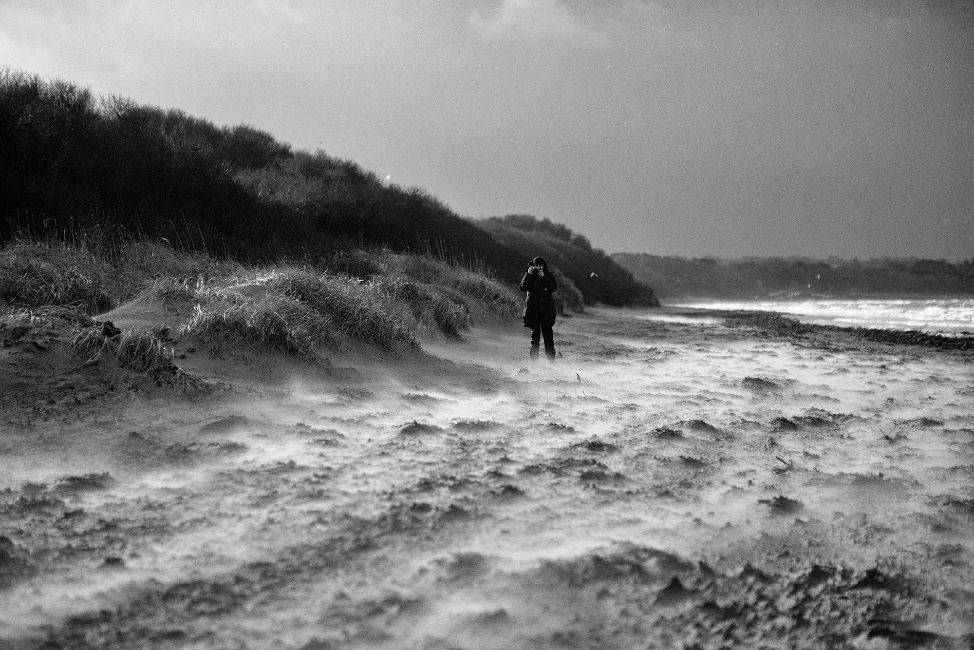 A black and white photo of sand blowing across the beach, giving a sort of smoky effect, partly illuminated by some sunlight, with a distant, gloomy sky in the distance. Lynn is standing, braced against the wind, taking a photo towards the viewer. Storm Isha, Longniddry Bents, East Lothian, Edinburgh.

Photo by and copyright of Paul Henni.