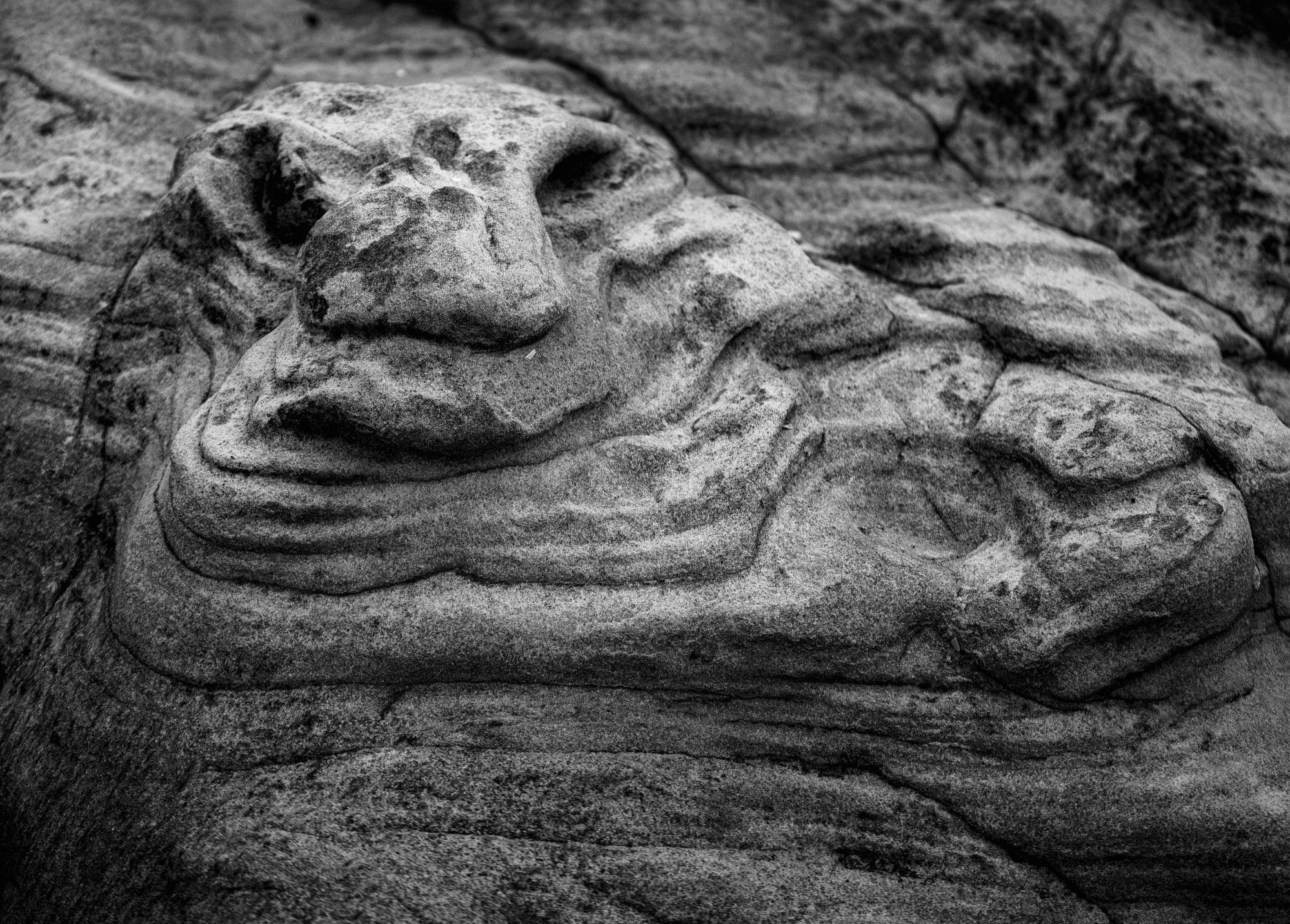 A black and white photo taken on the coastal path from Aberlady Bay to Gullane. A rock with a strangely eroded and sculpted shape that looks like the Star Wars Character Jabba The Hutt. East Lothian, Scotland.

Photo by and copyright of Paul Henni.